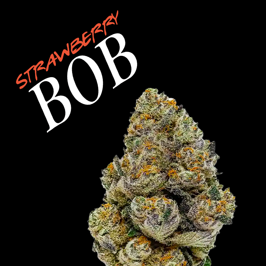 STRAW BOB.png
