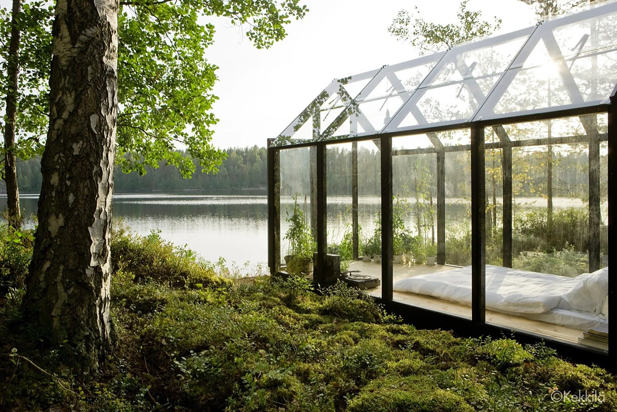 Kekkilä-greenhouse-shed-Avanto-forest-bathing-1.JPG