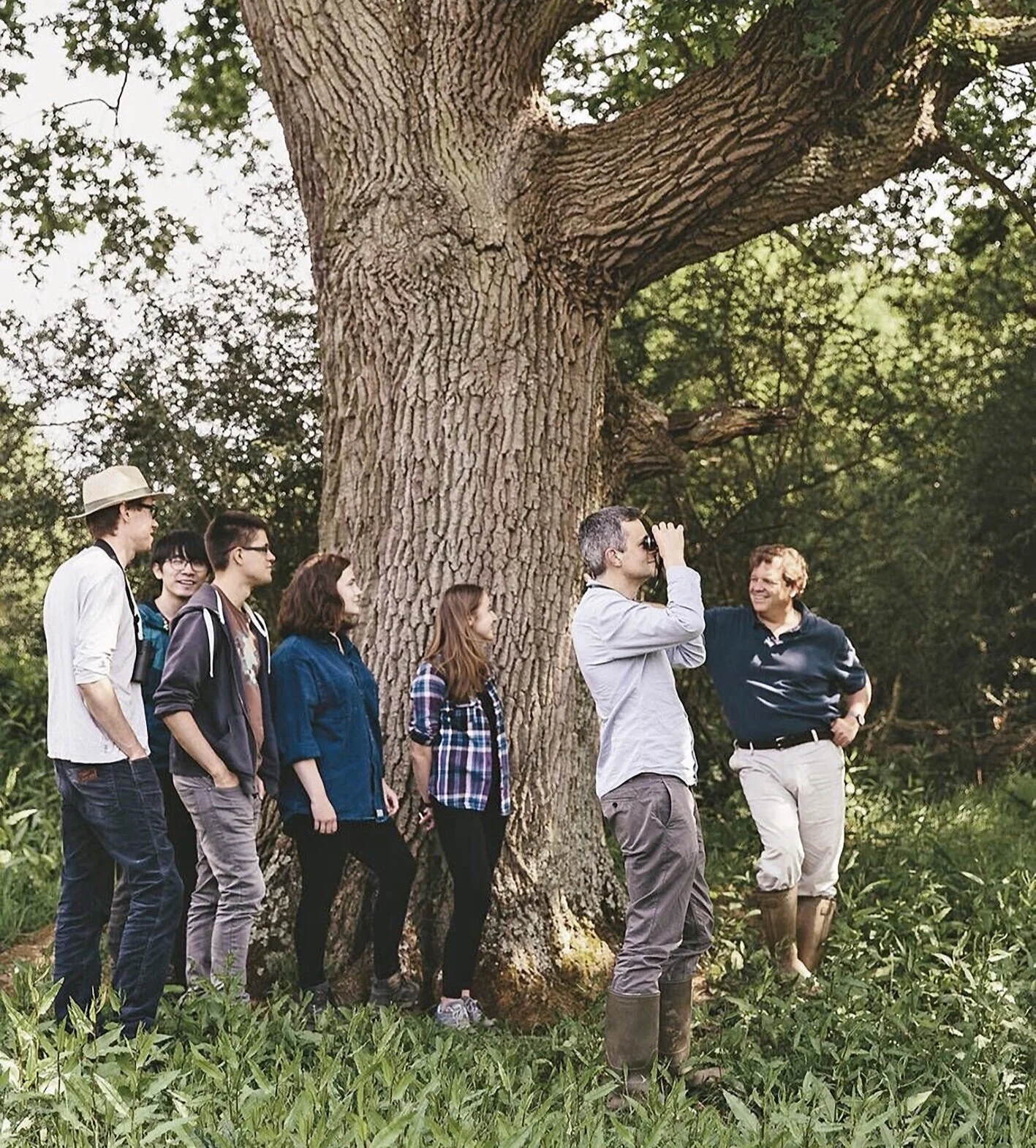 Above: Visitors to the Knepp Estate in Kent on a Wildlife Safari