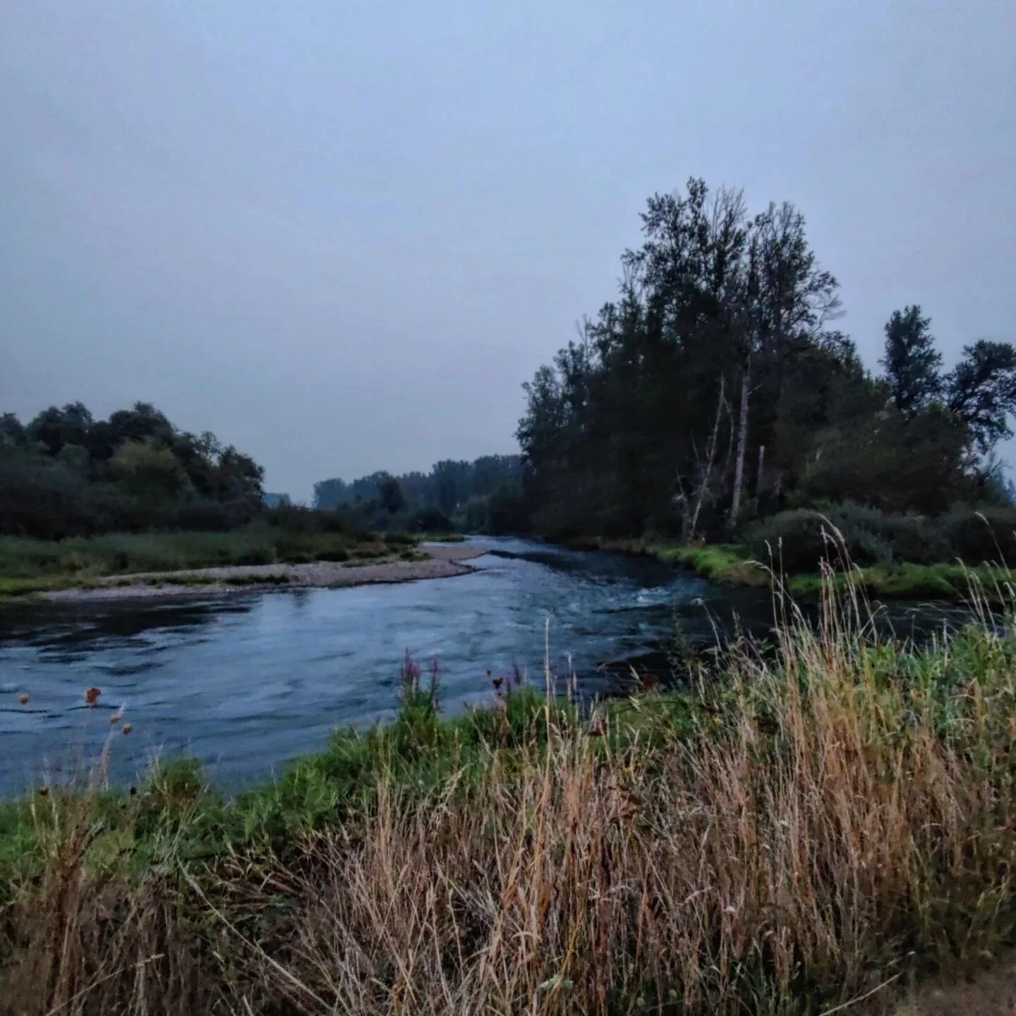 As usual we will be gathering for pizza and games in Háskólatorg at 18:30 Tuesday September 13th, sjáumst þá! #exdeus #iceland #háskóliíslands #bringafriend #pizza #games #friends #landoffireandi