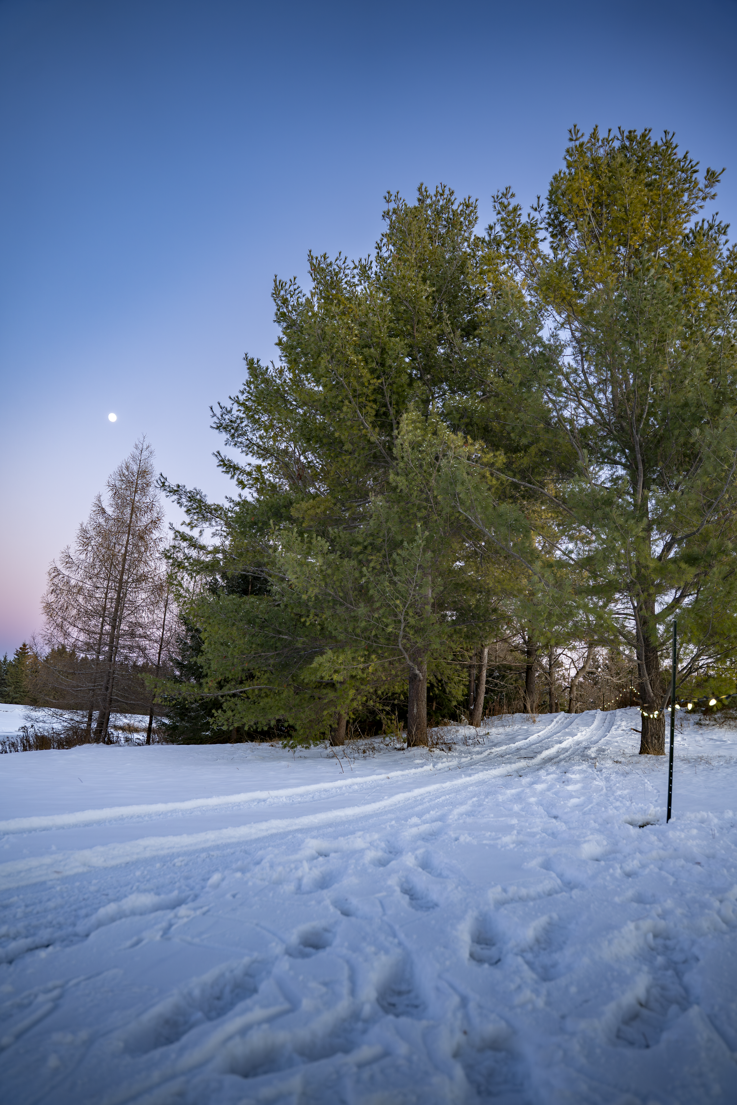 54963635414_e23fd3c883_o (2).png