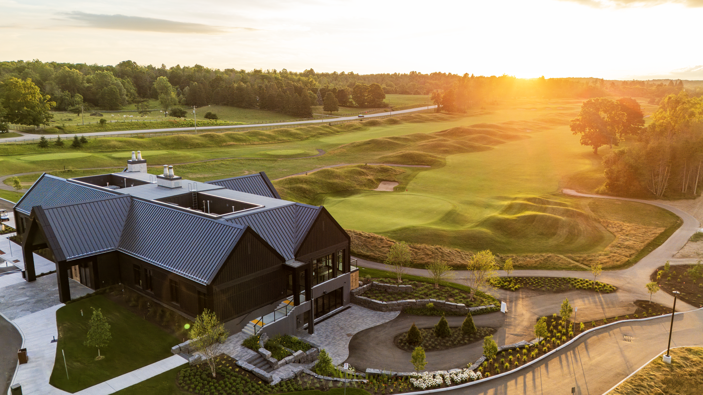 Heathlands #18