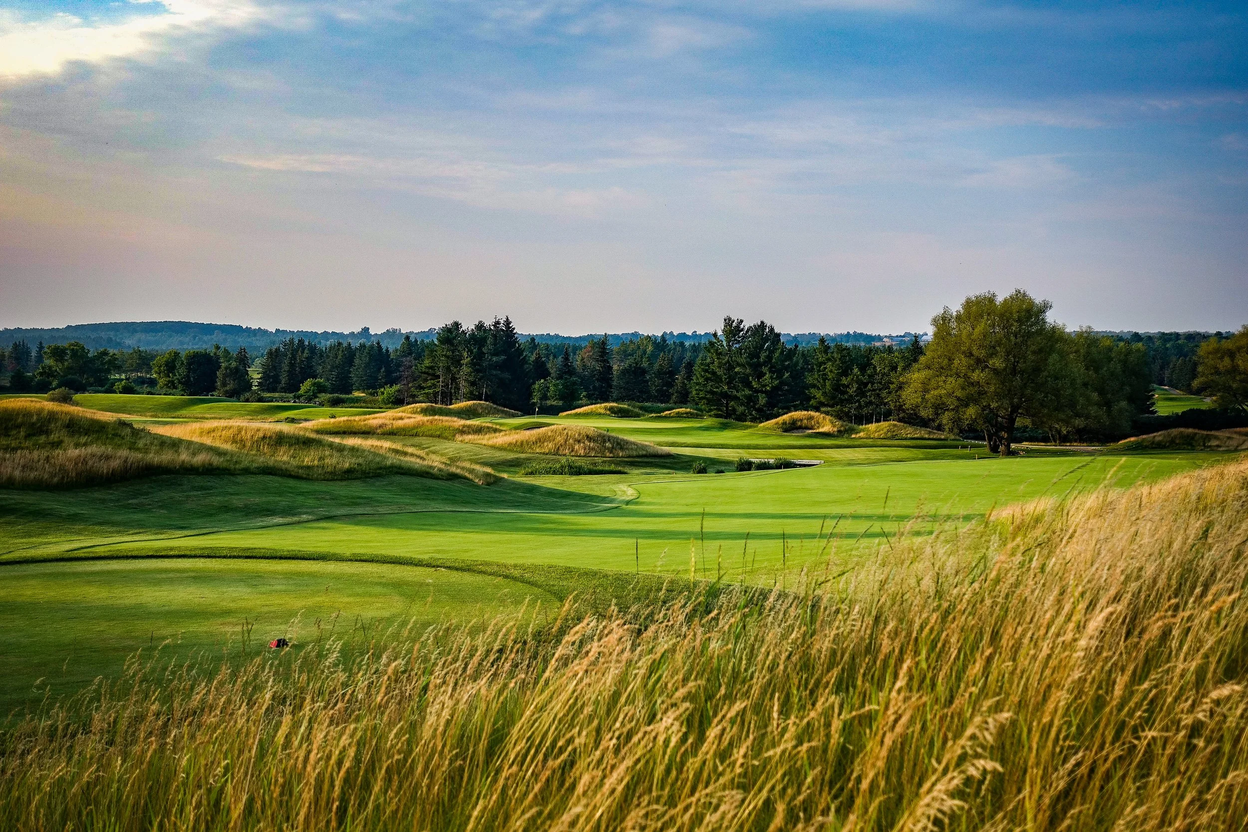 Heathlands 3 (3).JPG