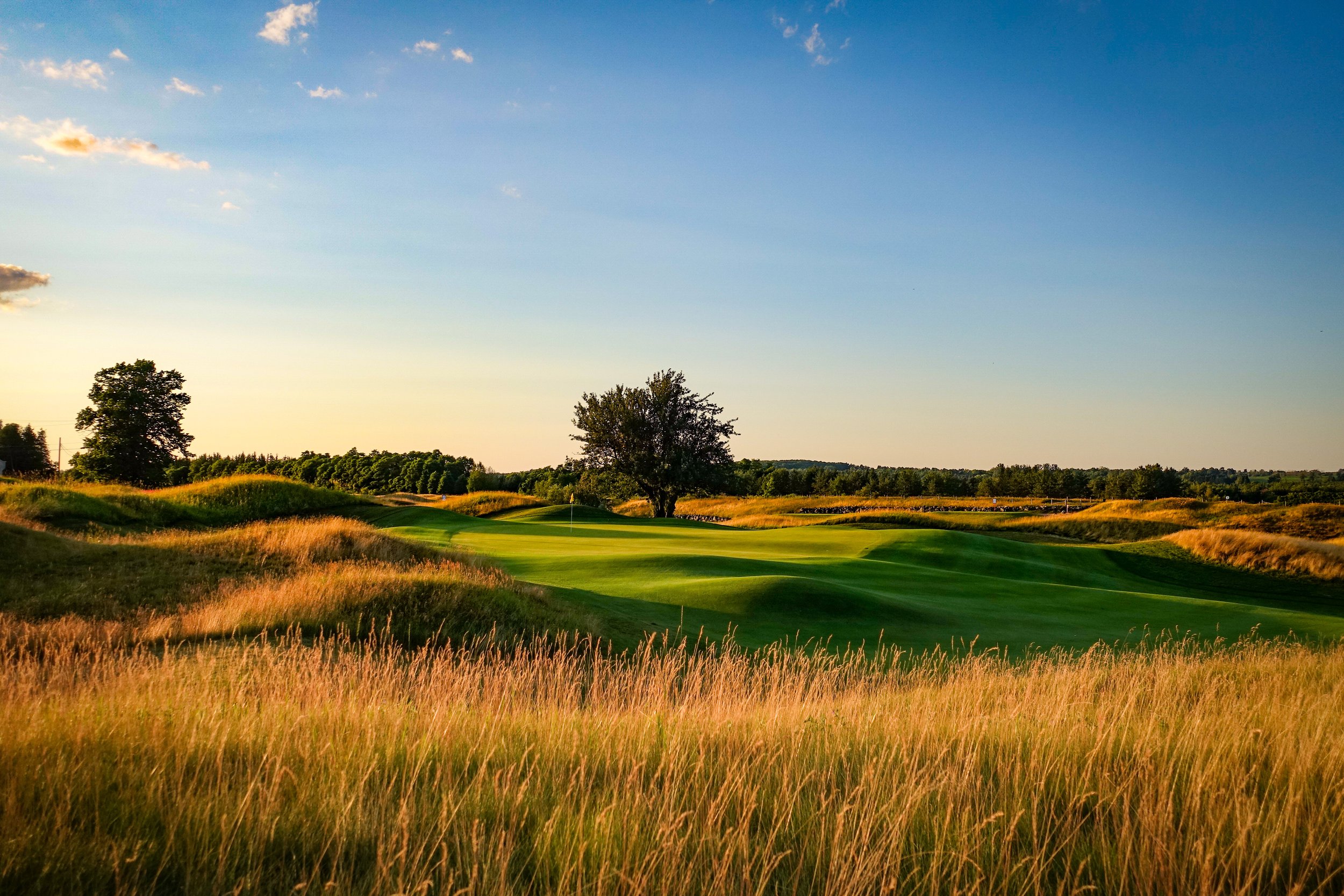 Heathlands 6 - Brian Decker 3.JPG