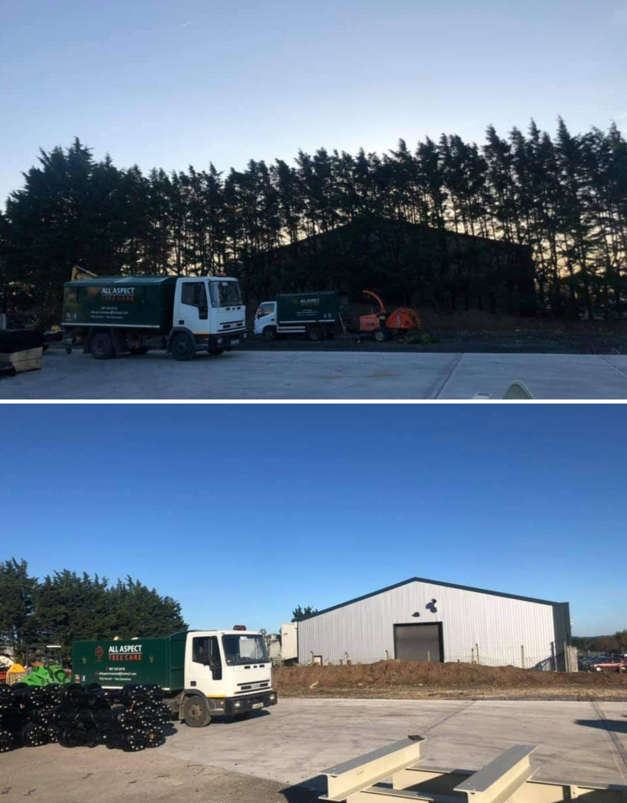 Gallery — All Aspect Tree Care