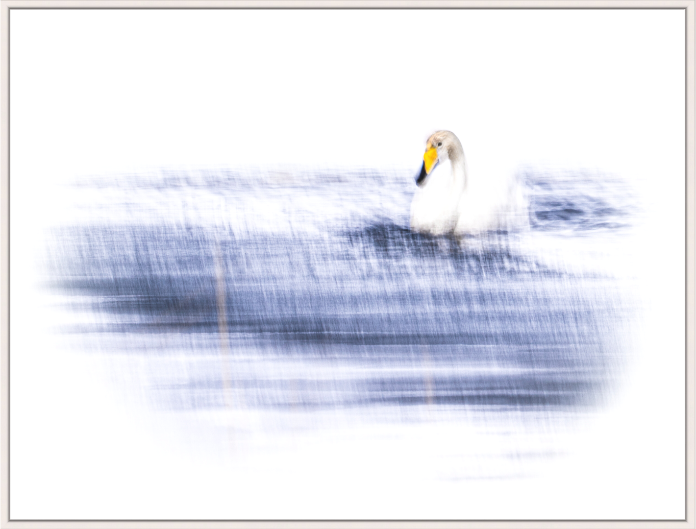 A silent awakening of spring