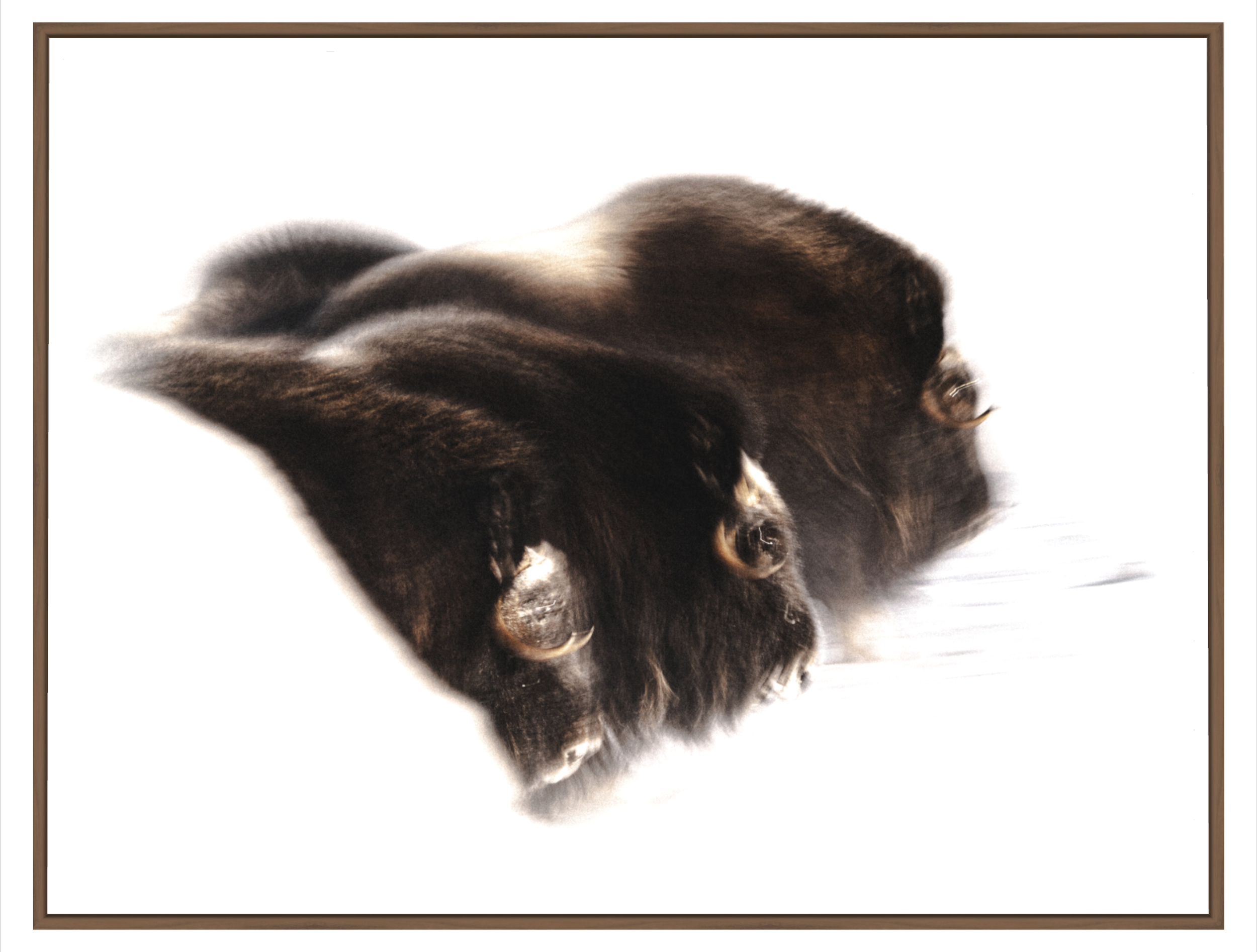 Website - Startpage - Fine-Art_Work2.png