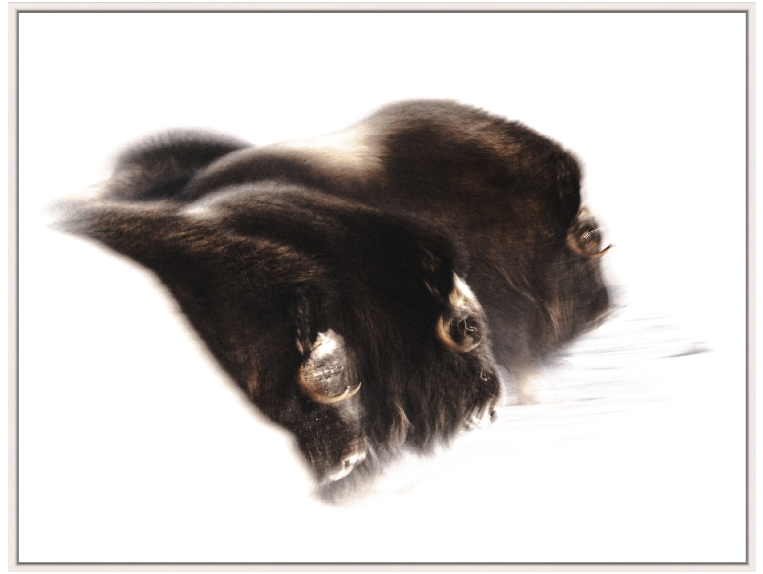 Website+-+Startpage+-+Fine-Art_Work2.png