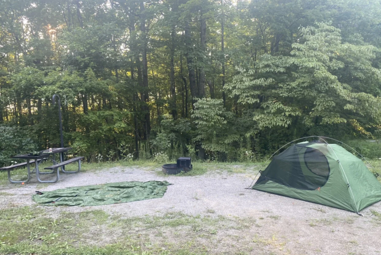 The Set Up!
