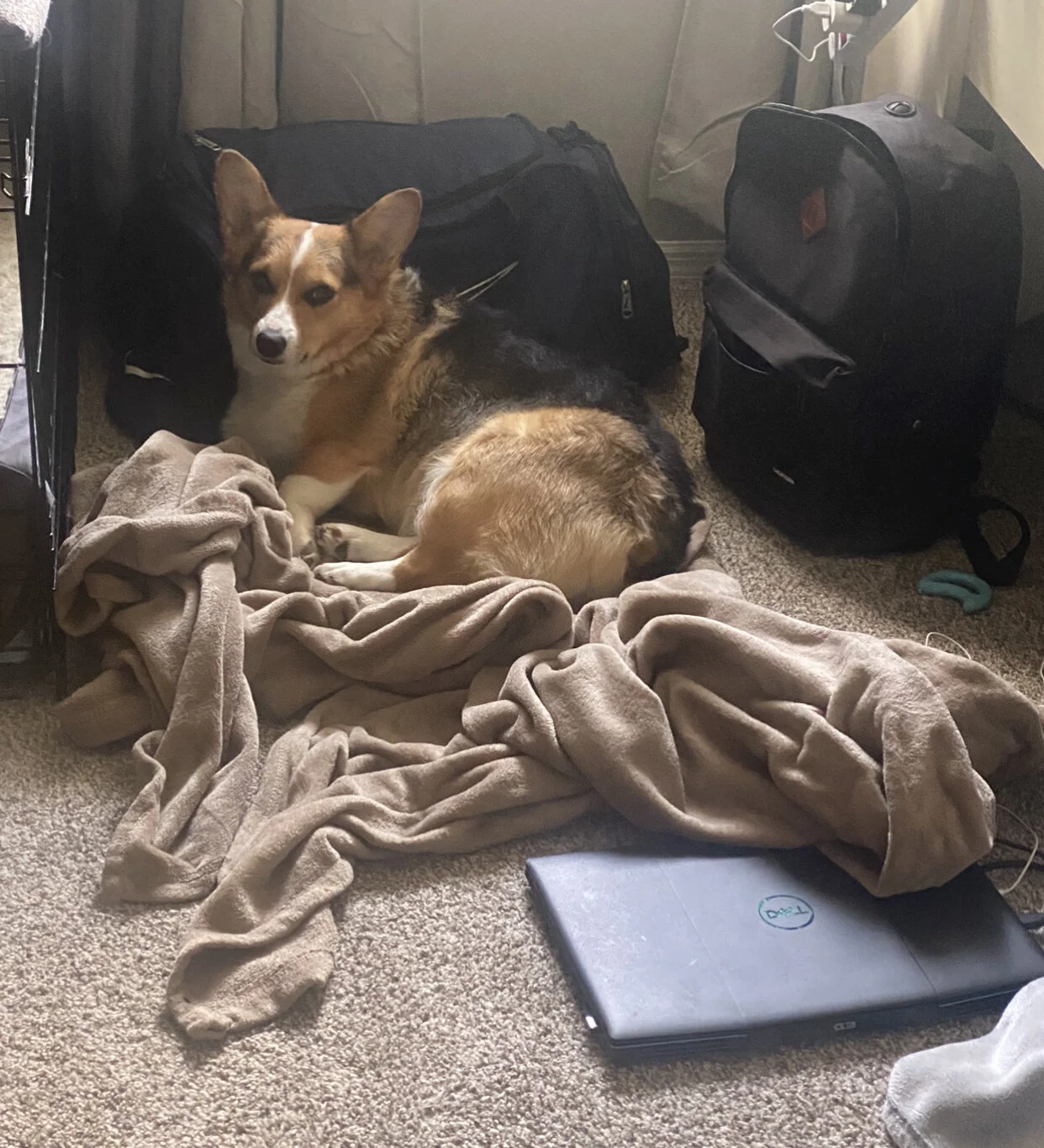 My New Intern!