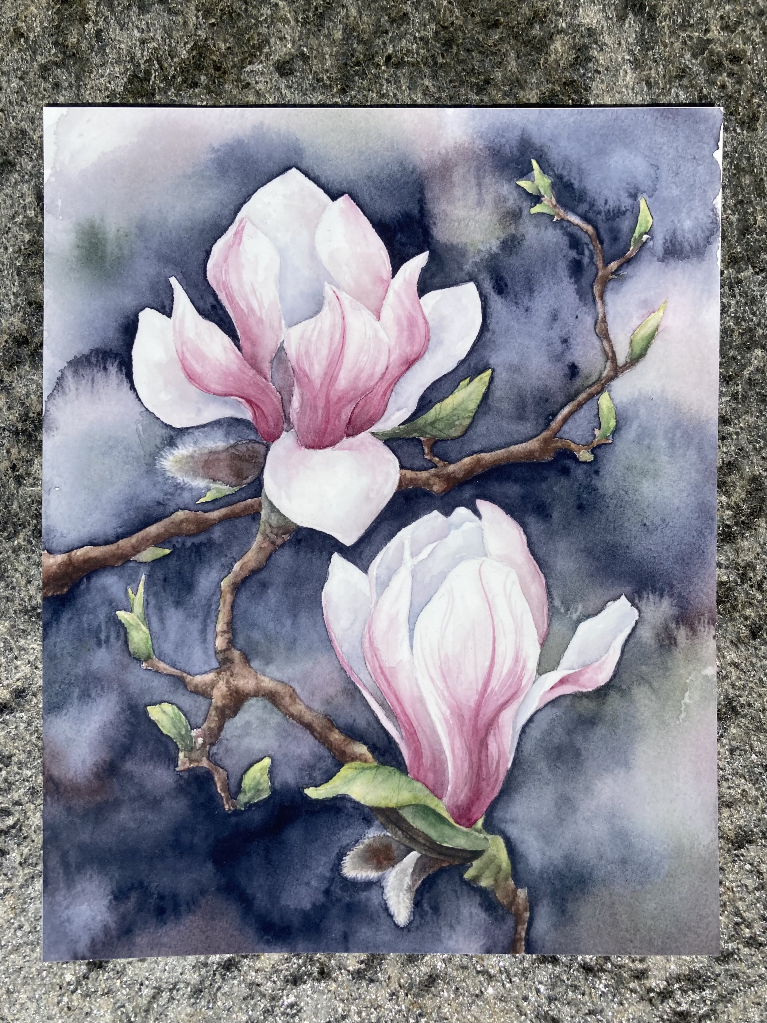 magnolias.jpg