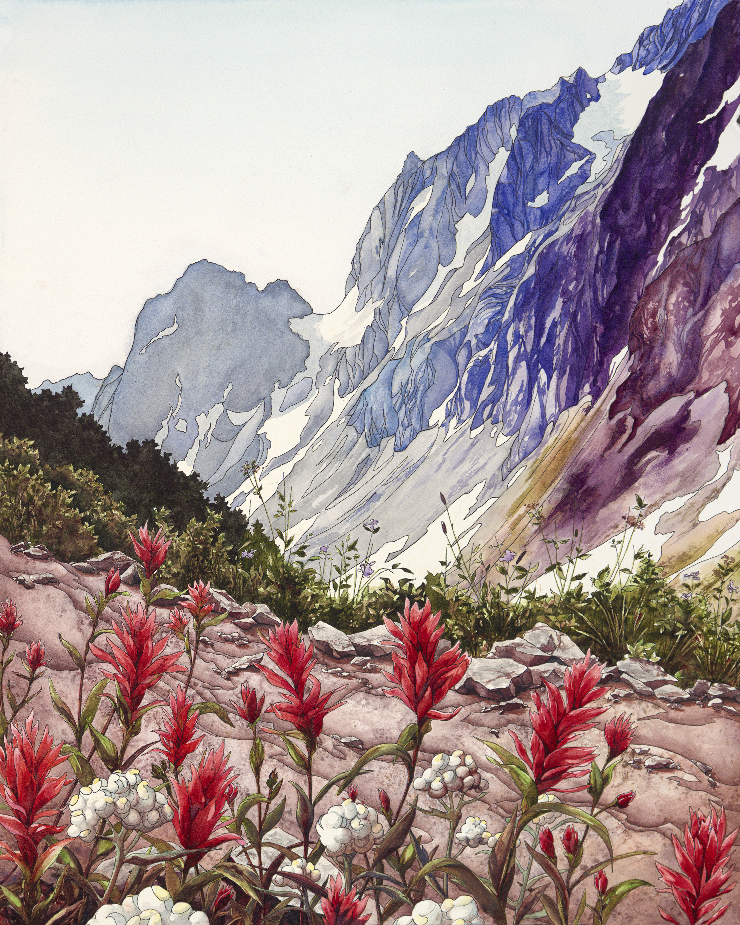 Cascade Pass Paintbrush.png