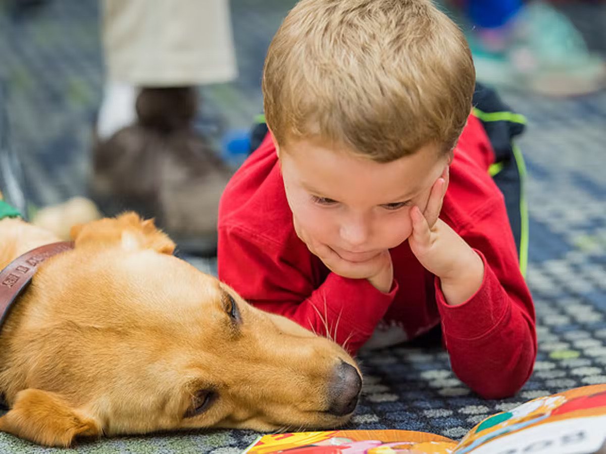 The Power of Support From Companion Animals