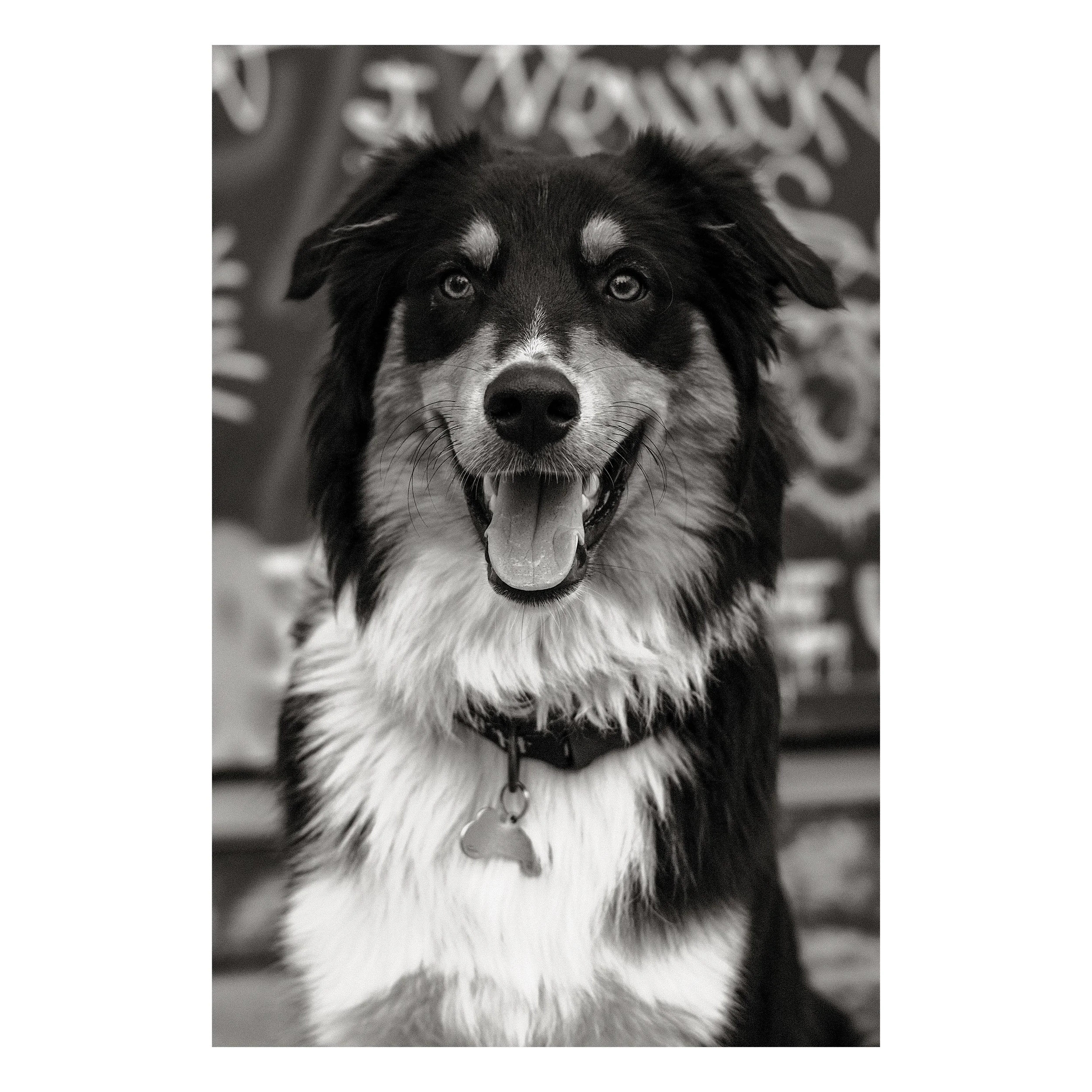 Buddy_Rda_1.jpg