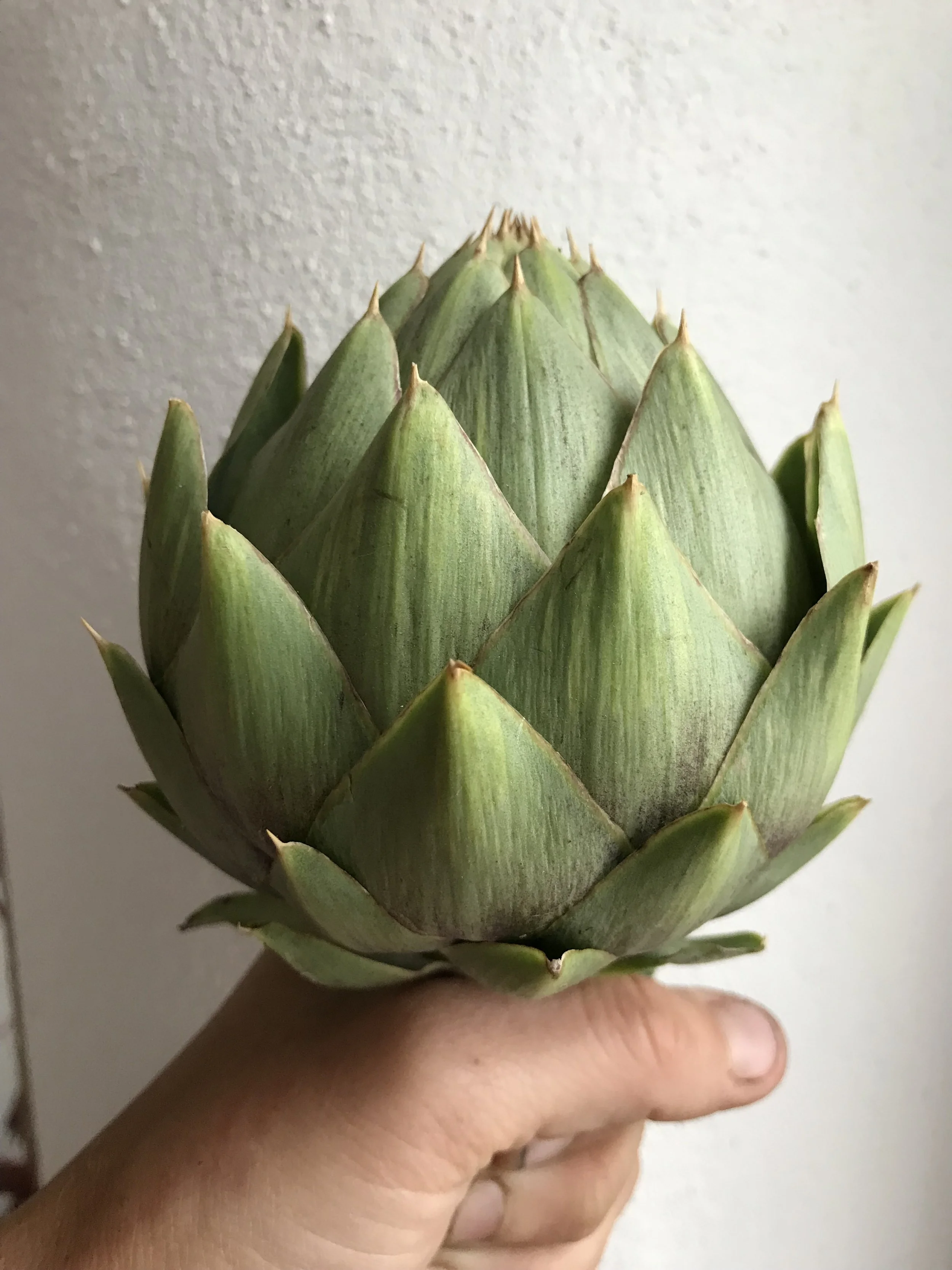 The Next Chapter @LittleWoodbatch