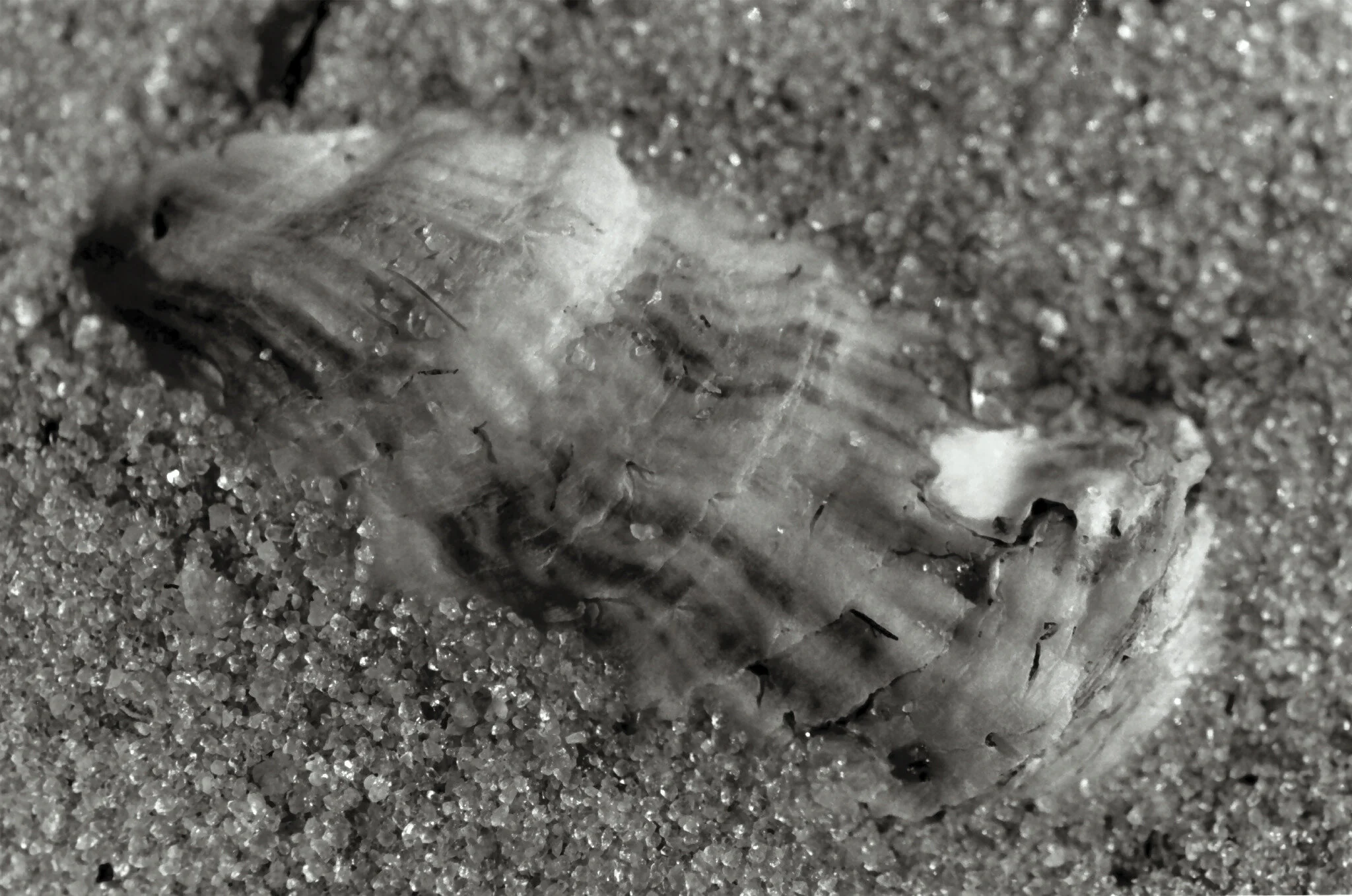 water_boo kfinal-21.jpg