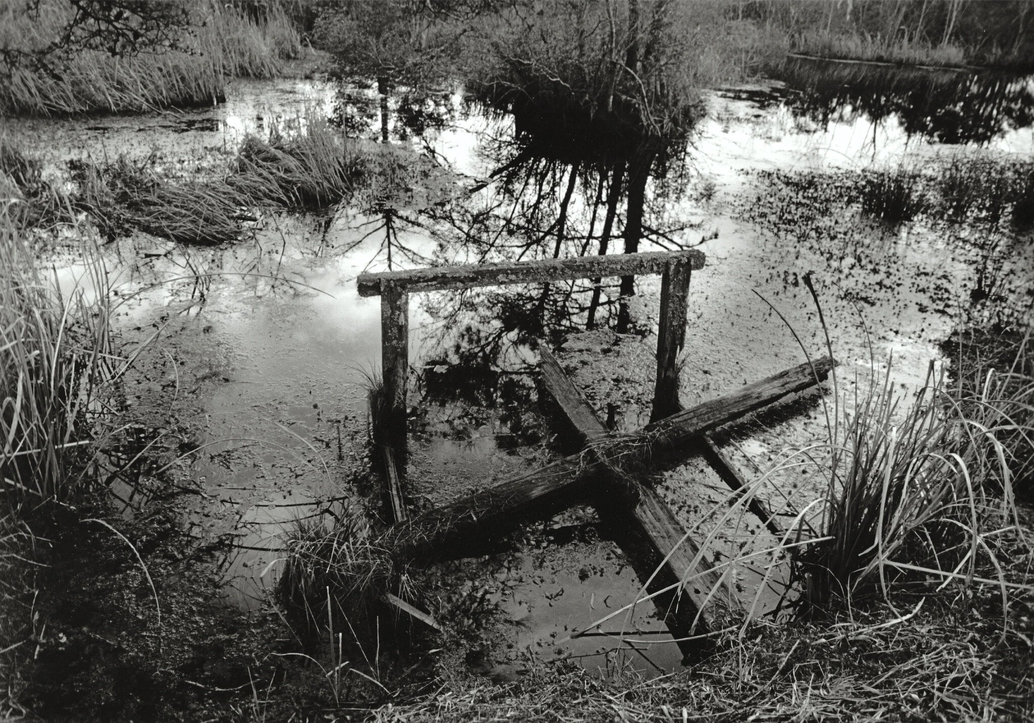 water_boo kfinal-6.jpg