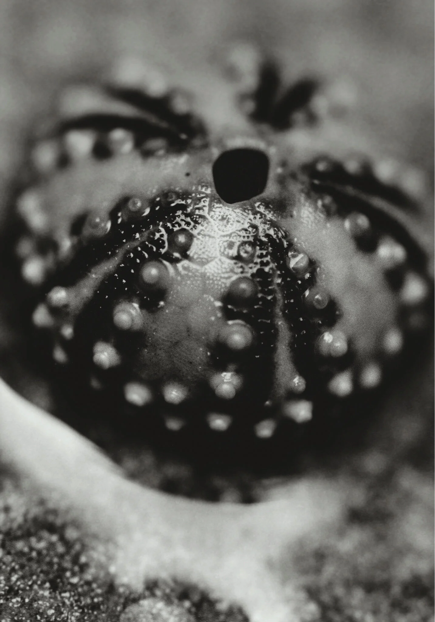 water_boo kfinal-11.jpg