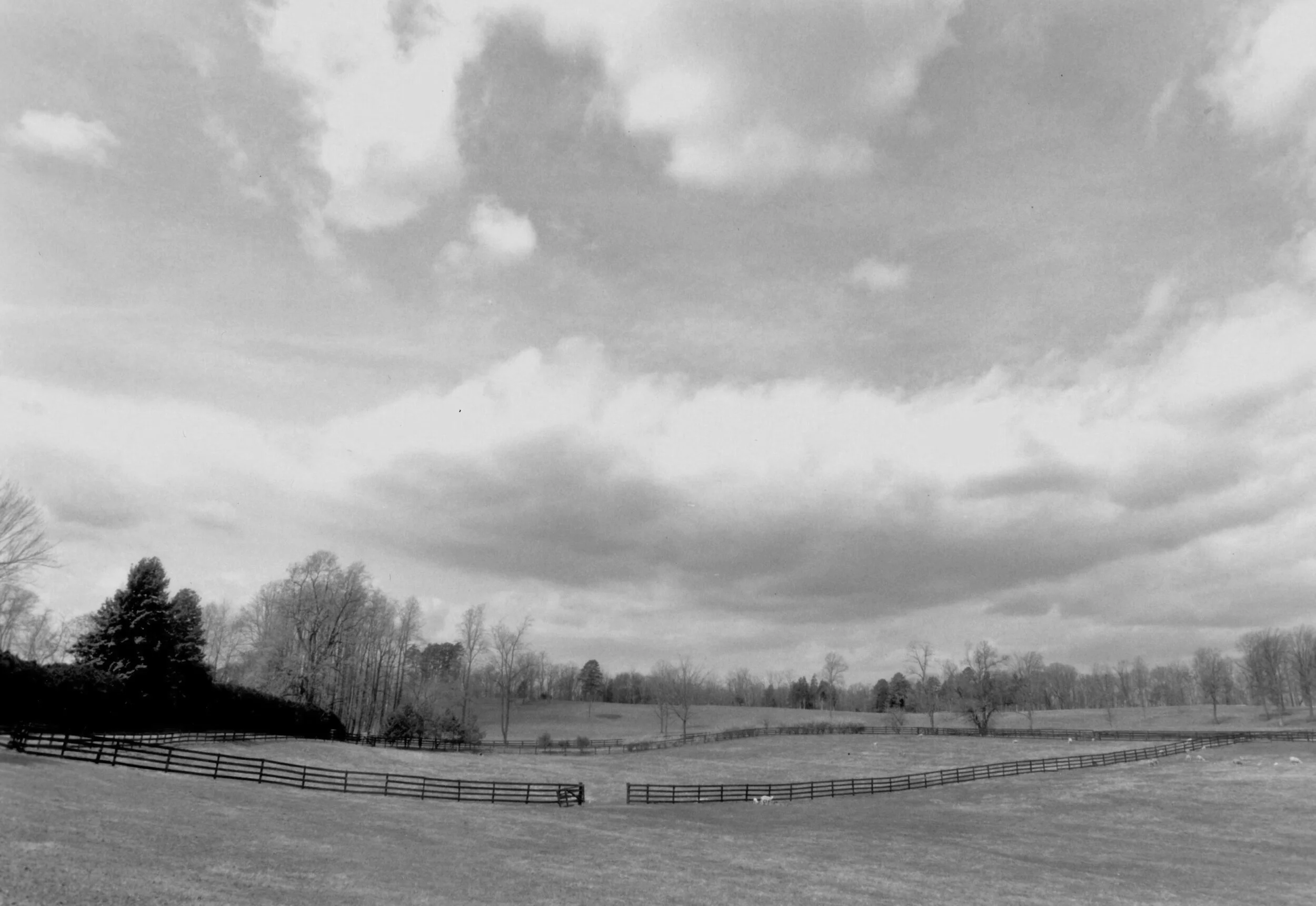 sunny+dell+fenced+fields-1.jpg