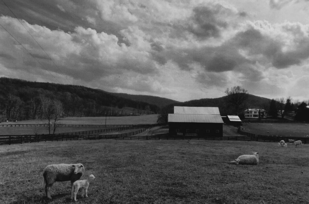 pasture+view+best.jpg