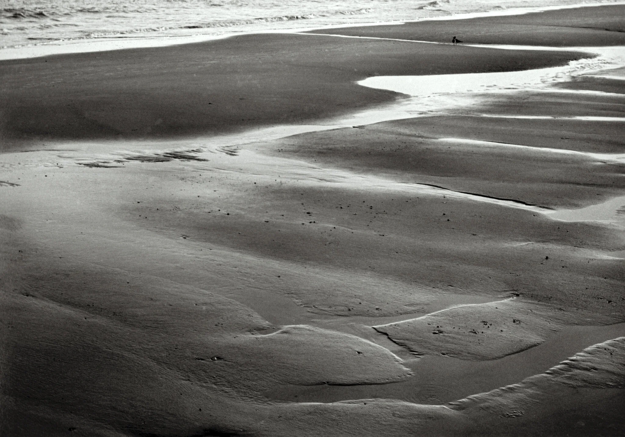 water_boo kfinal-3.jpg