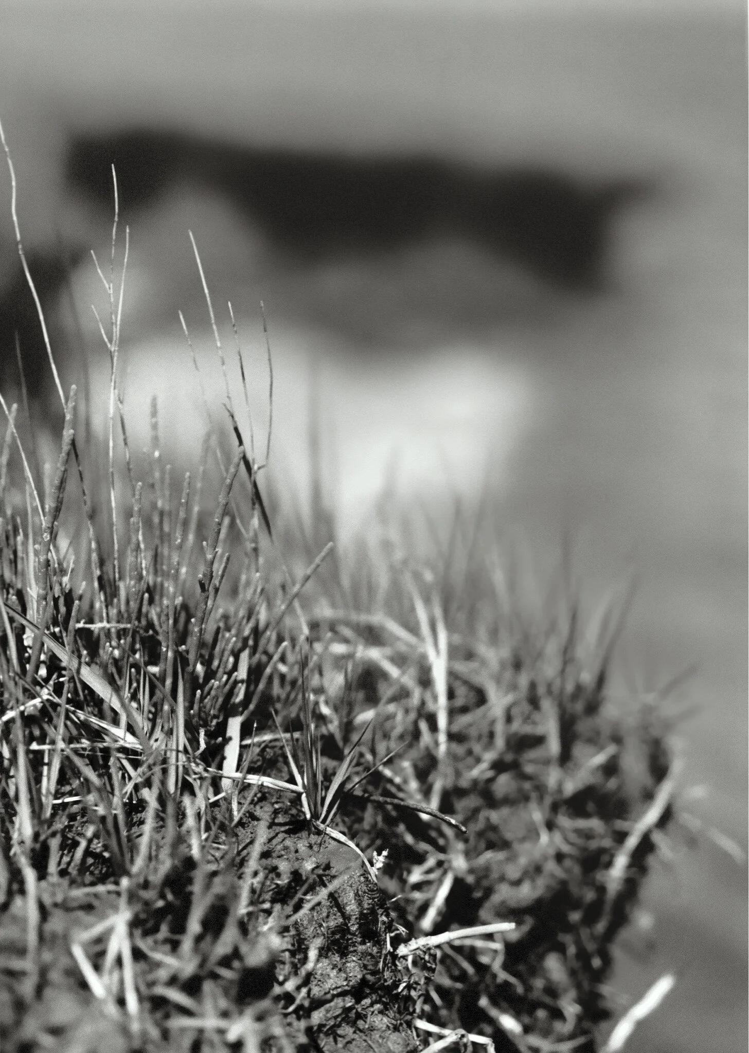 water_boo kfinal-5.jpg