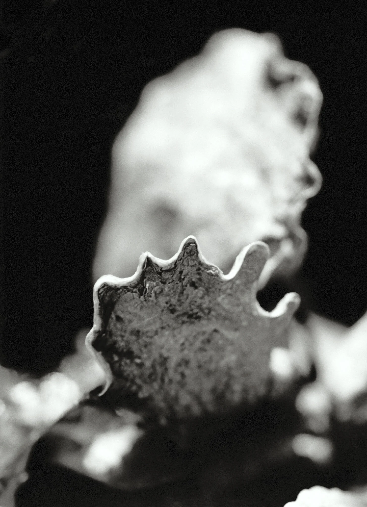 water_boo kfinal-7.jpg