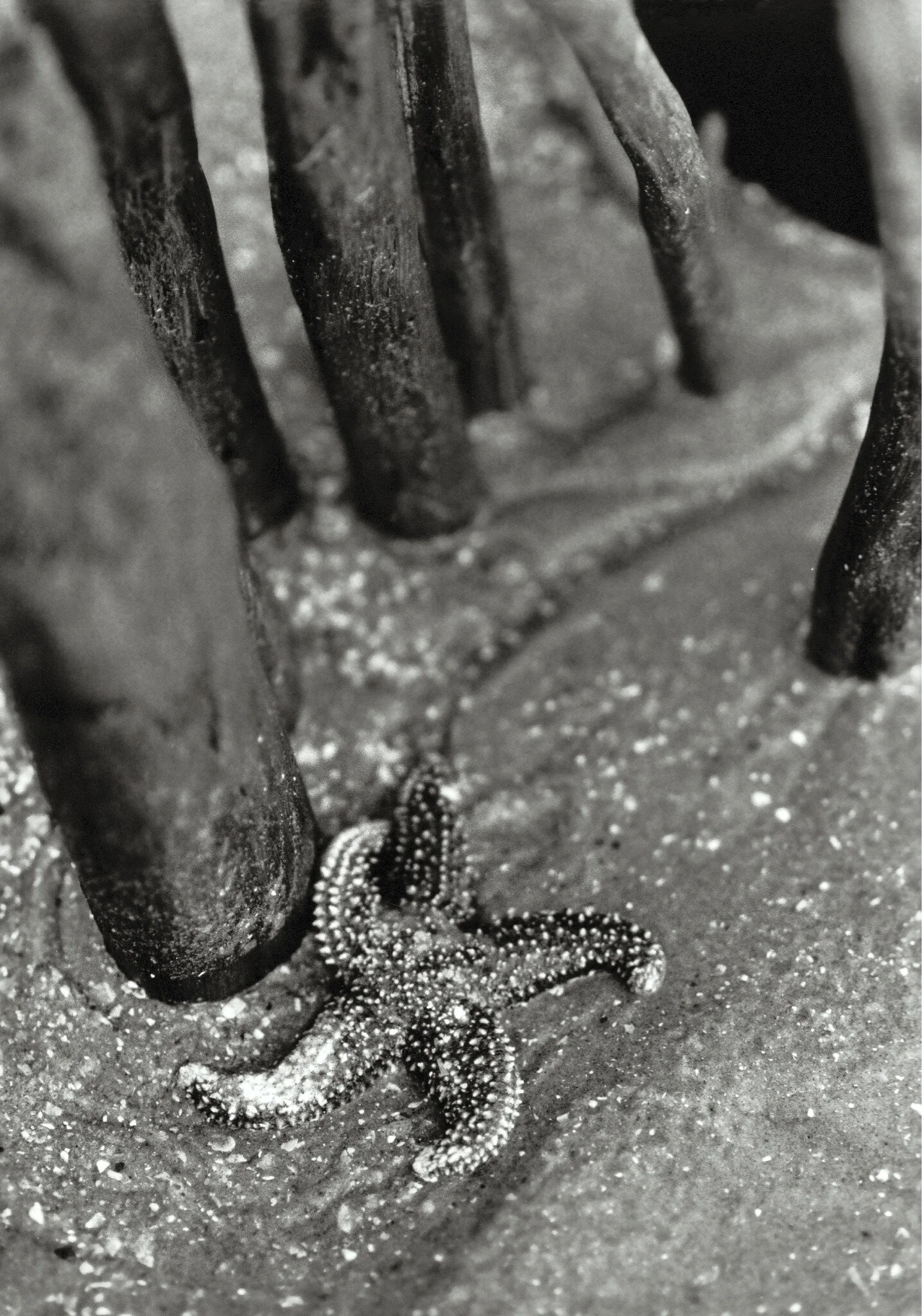 water_boo kfinal-14.jpg