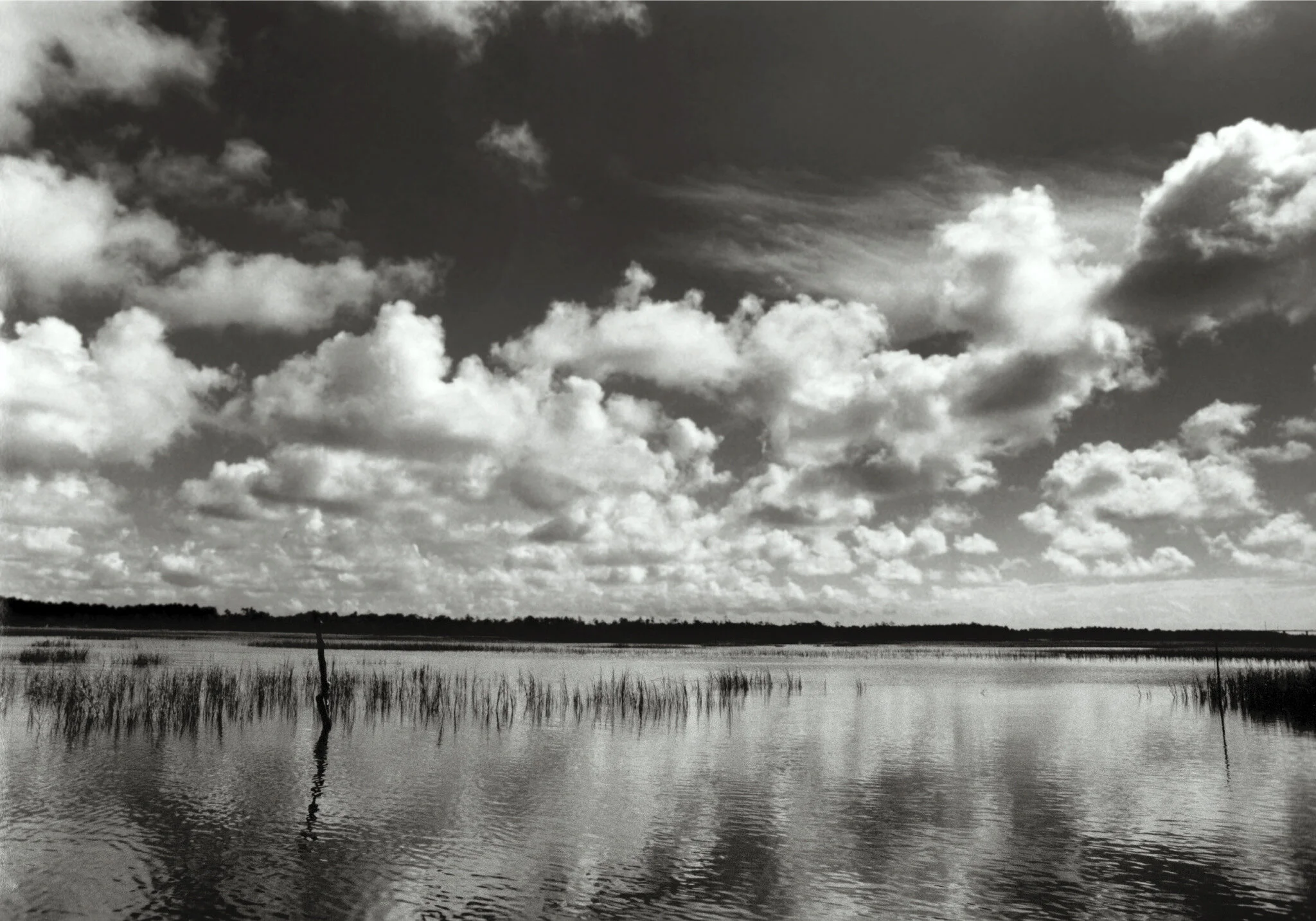 water_boo kfinal-18.jpg