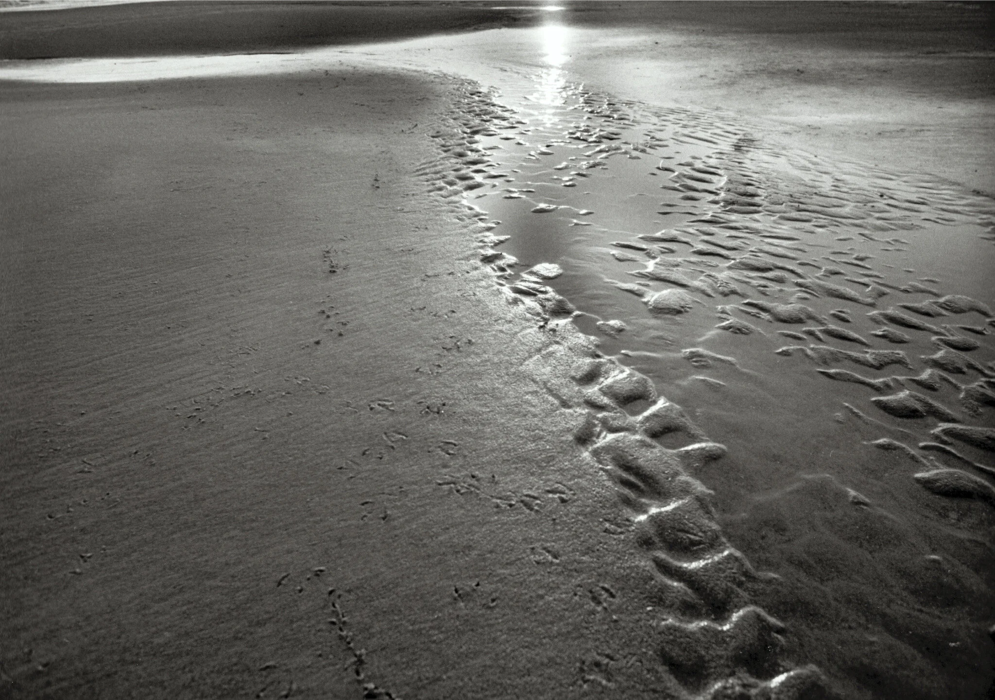 water_boo kfinal-2.jpg