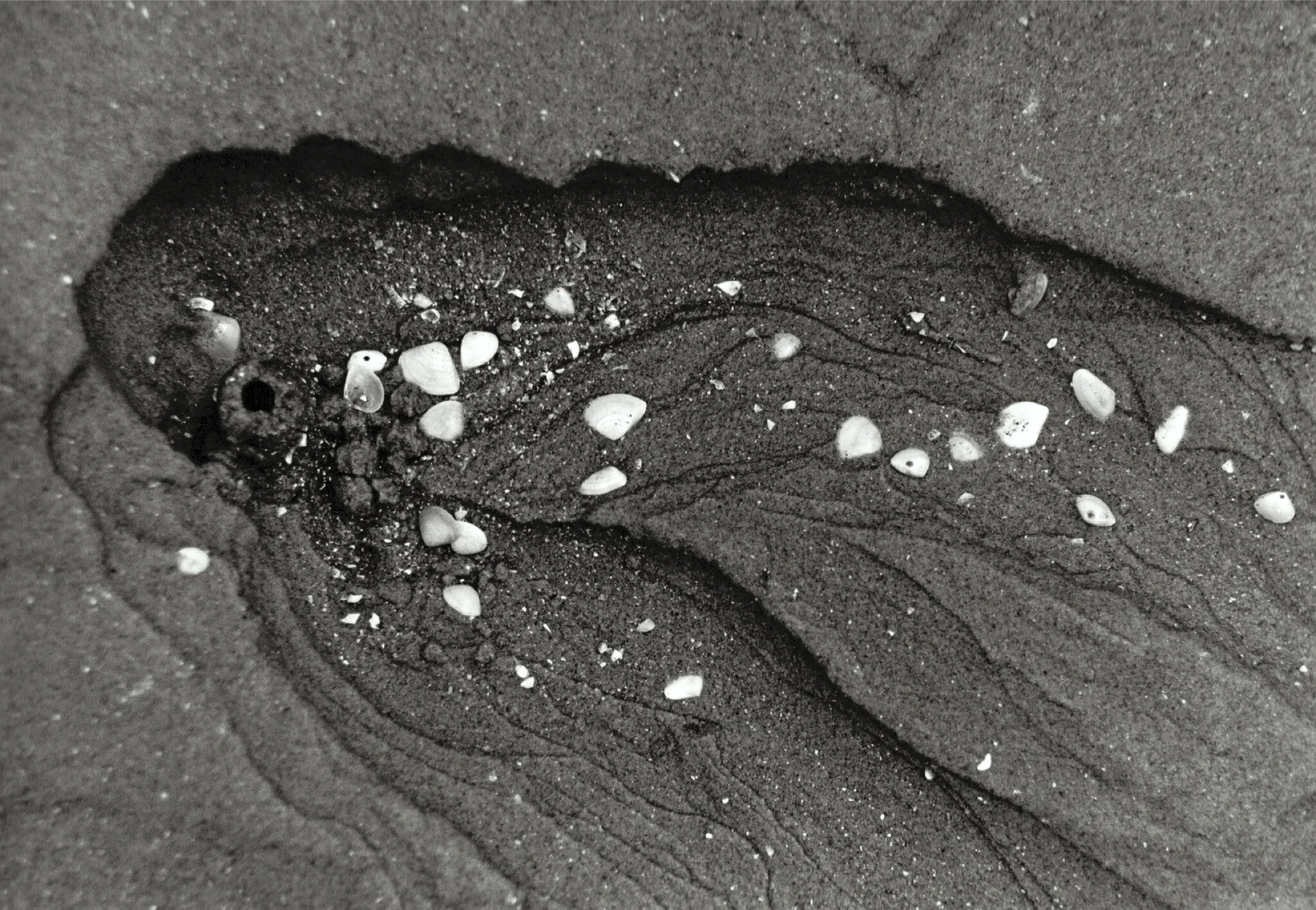 water_boo kfinal-27.jpg