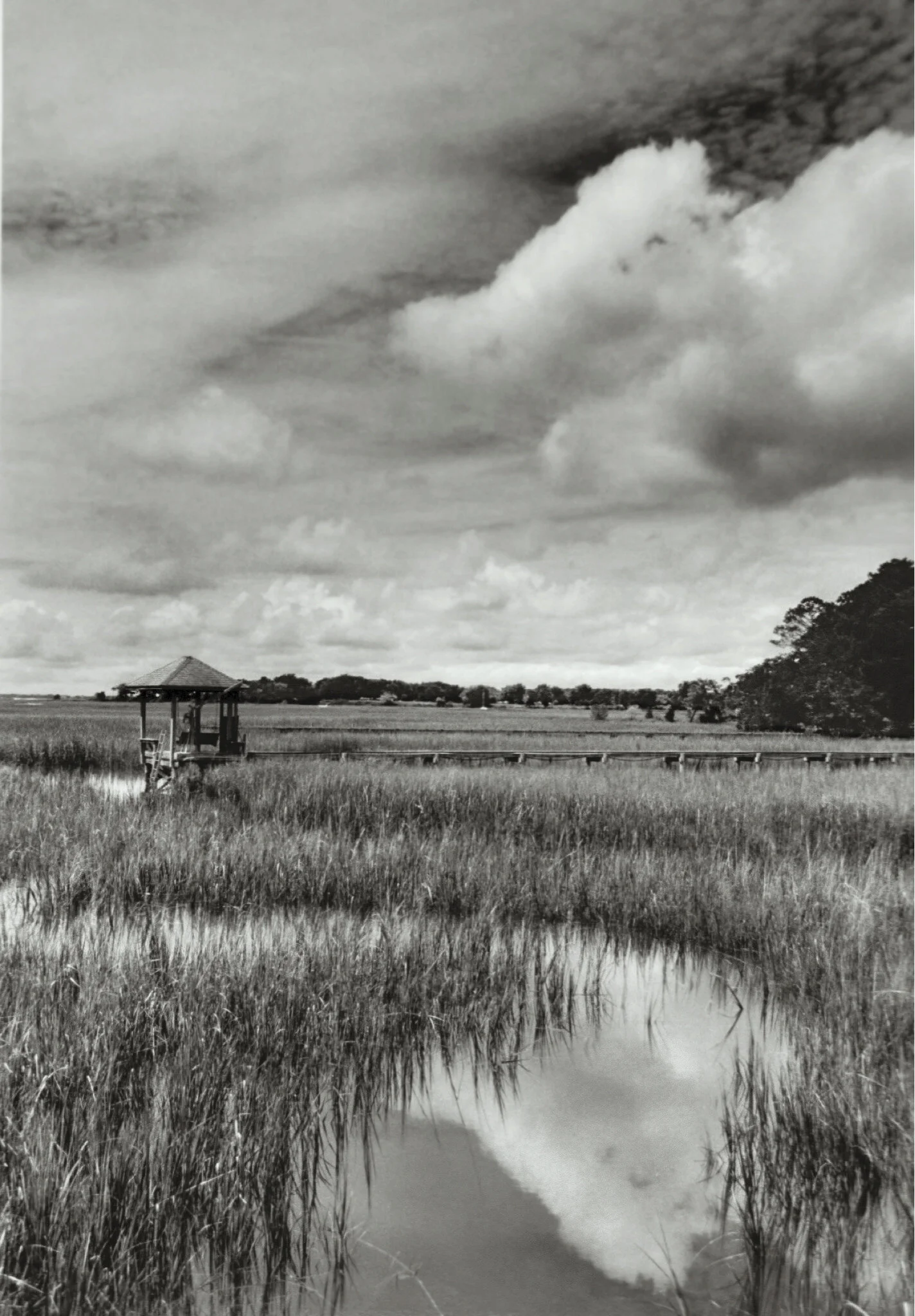 water_boo kfinal-17.jpg