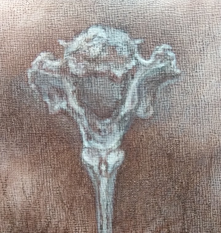 Vertebra_and_Trees_TopDet.jpg
