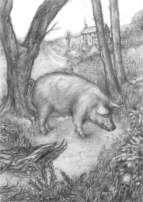 IN THE WOODLOT / Pencil on paper, Lividian Publications 2026