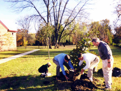 tree planting.PNG