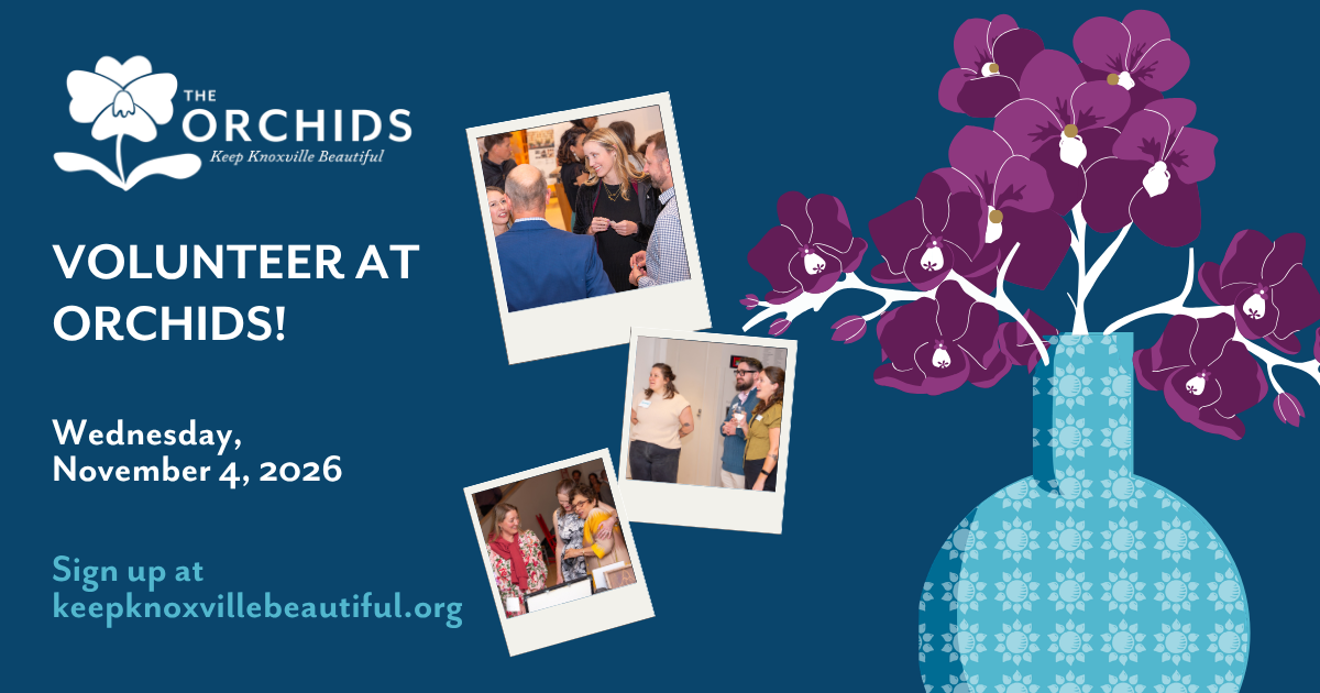 Volunteer at Orchids 2026