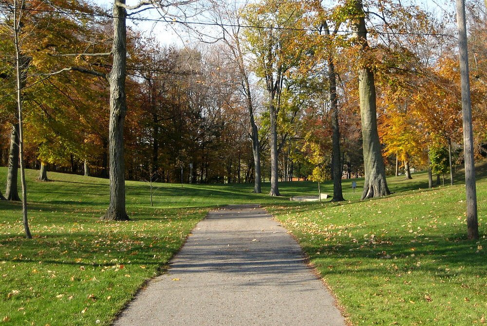 Homeschooling During a Pandemic -Perspectives of a Homeschool Mom