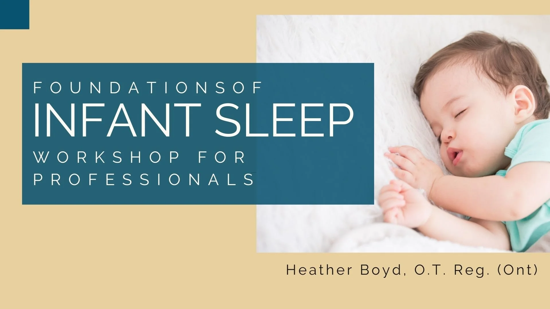 Foundations of Infant Sleep for Professionals Day 1