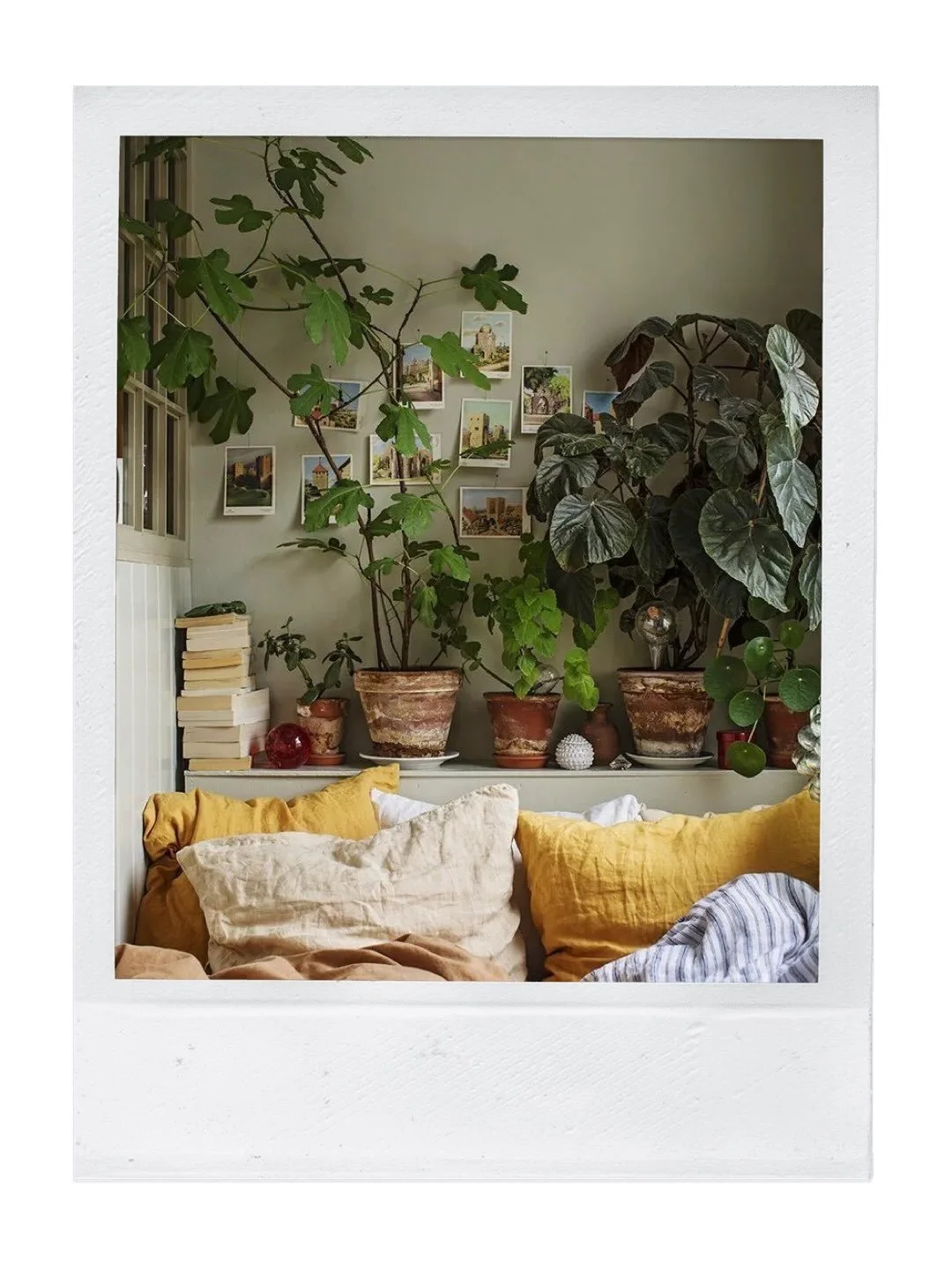 Inspiration planth&eacute;rapie et biophilie 🪴 

Dans mon livre &agrave; moi, il n&rsquo;y a jamais assez de plantes dans une maison. Ells ajoutent de l&rsquo;&acirc;me, de la beaut&eacute;, du vivant sans oublier le fait qu&rsquo;elles aident &agra