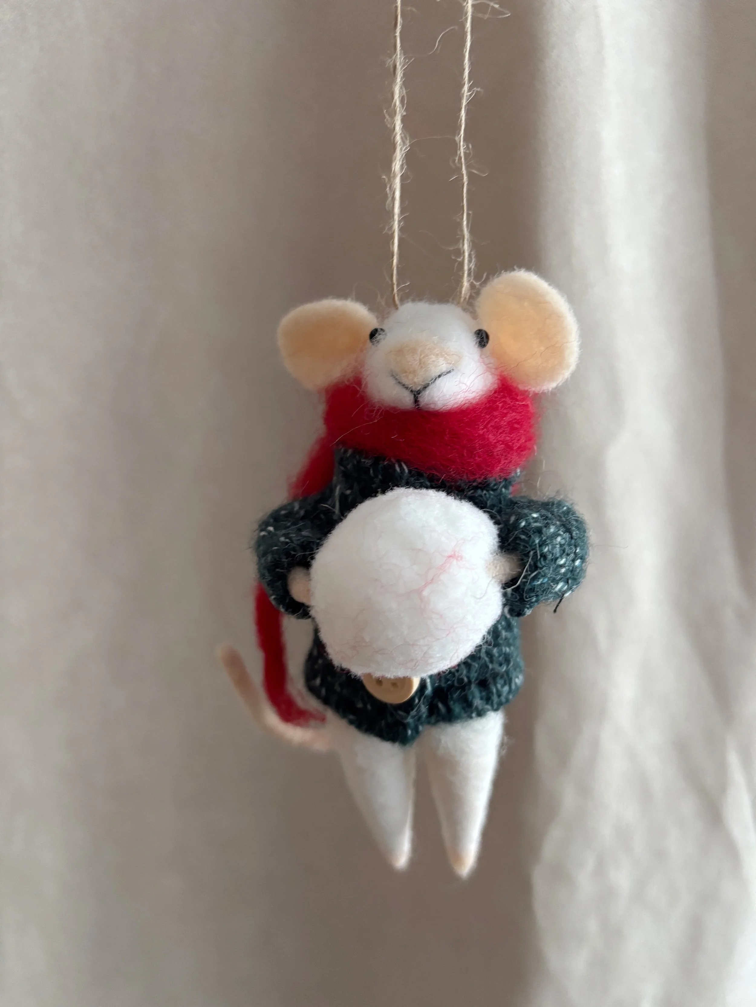 Souris 13$