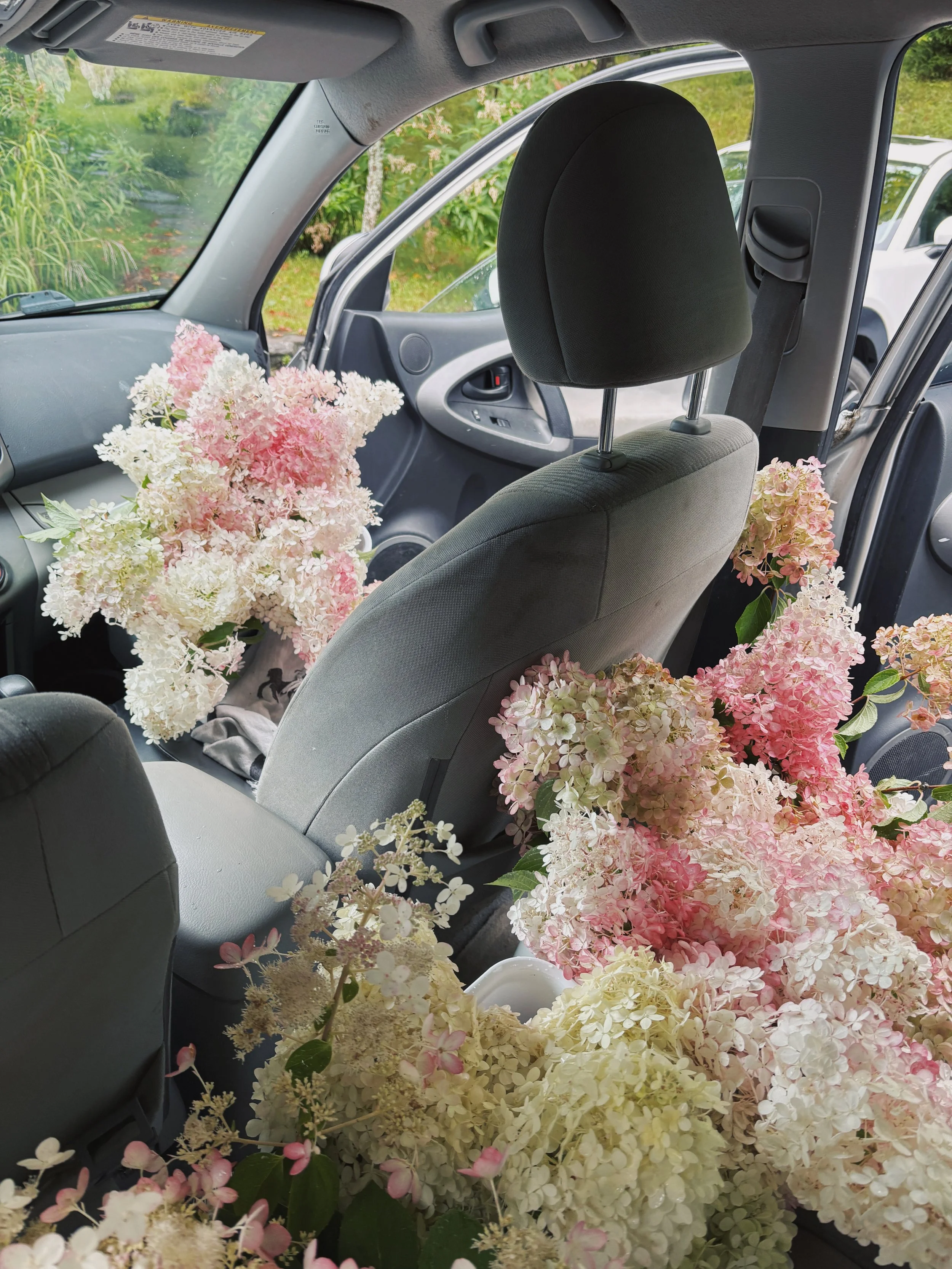 labriboutique_behindthescenes_fleurs_dans_lauto.jpg