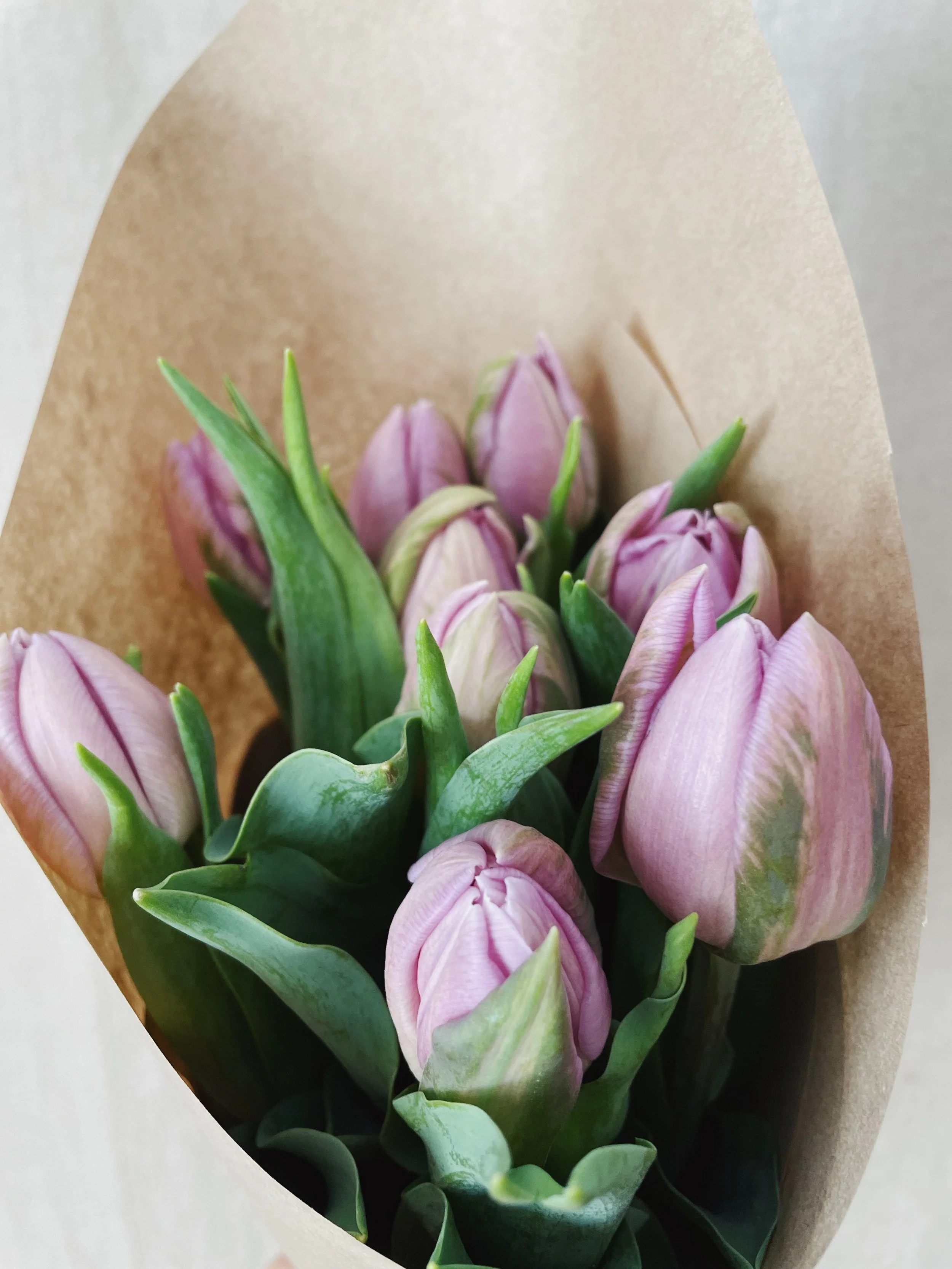 Bouquet de tulipes doubles - 20$