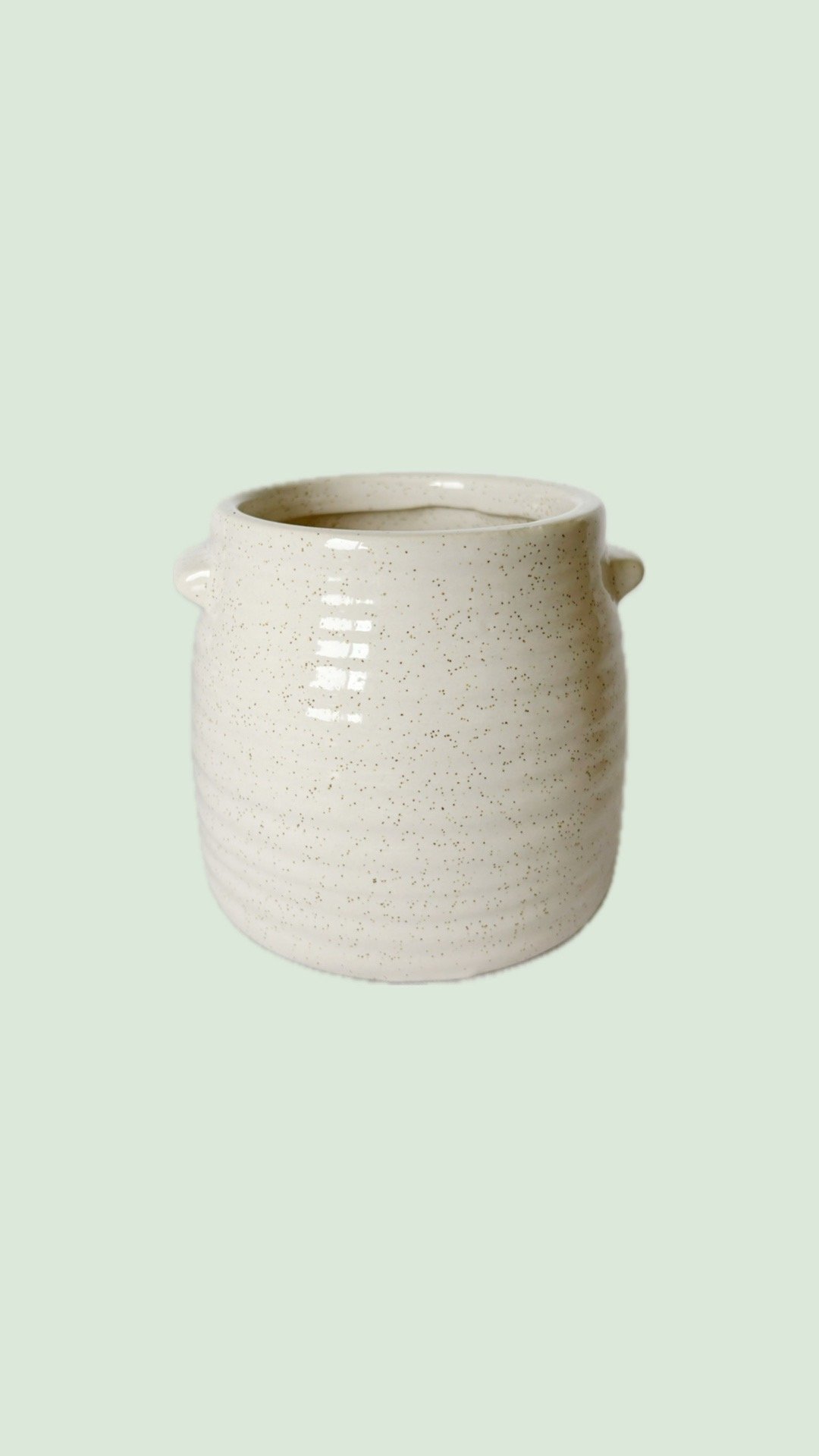 Cache pot - 20$
