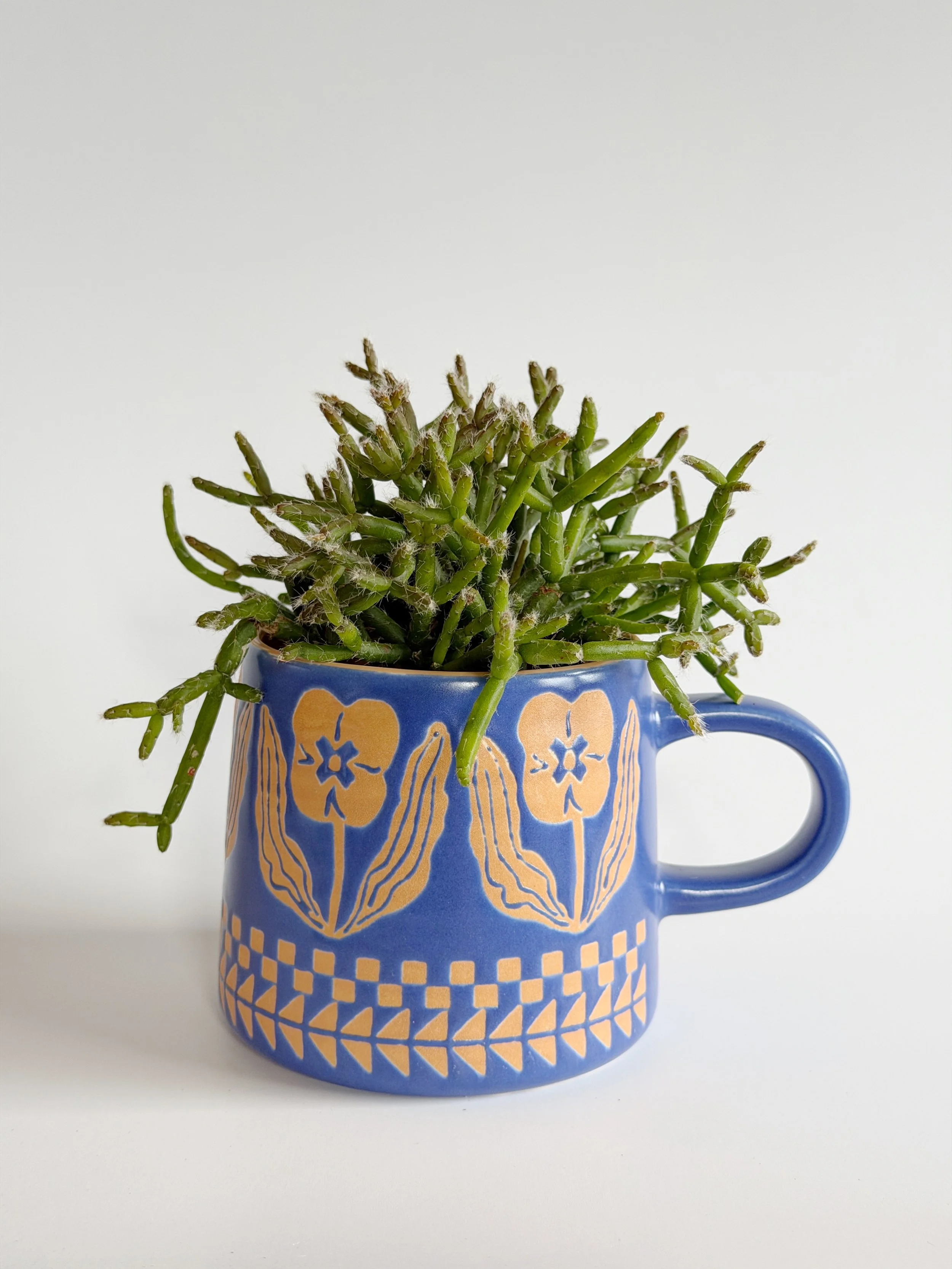 Tasse 16$ -  Cactus 13$
