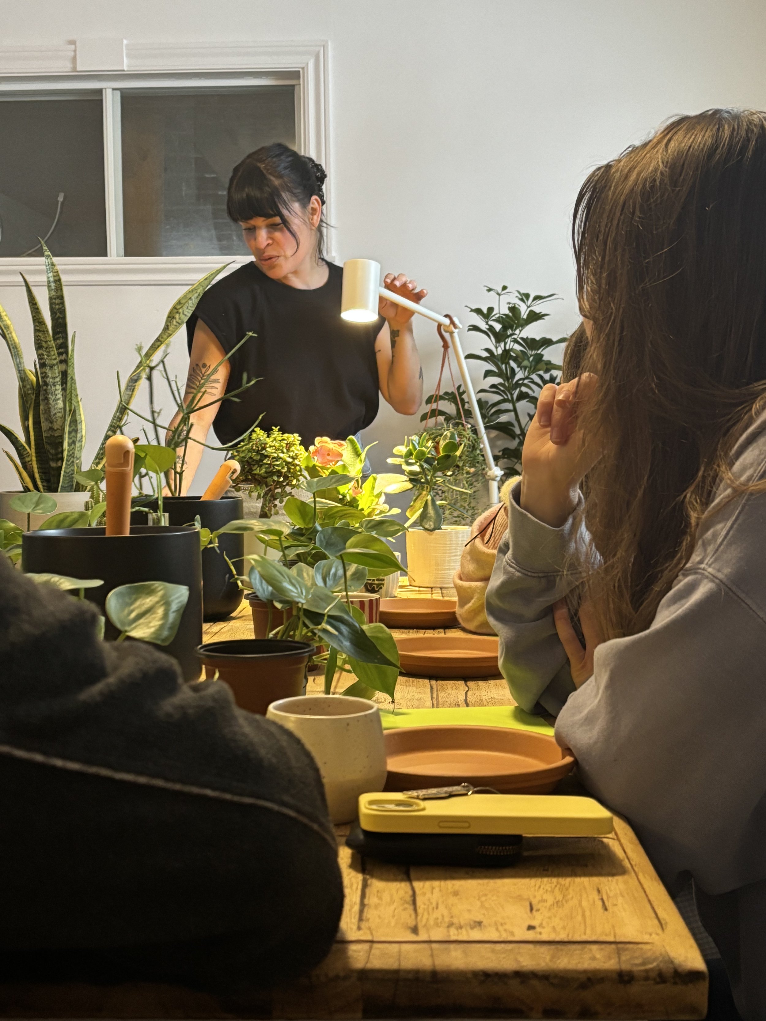 ATELIER_prendre_soin_de_ses_plantes_01.jpeg