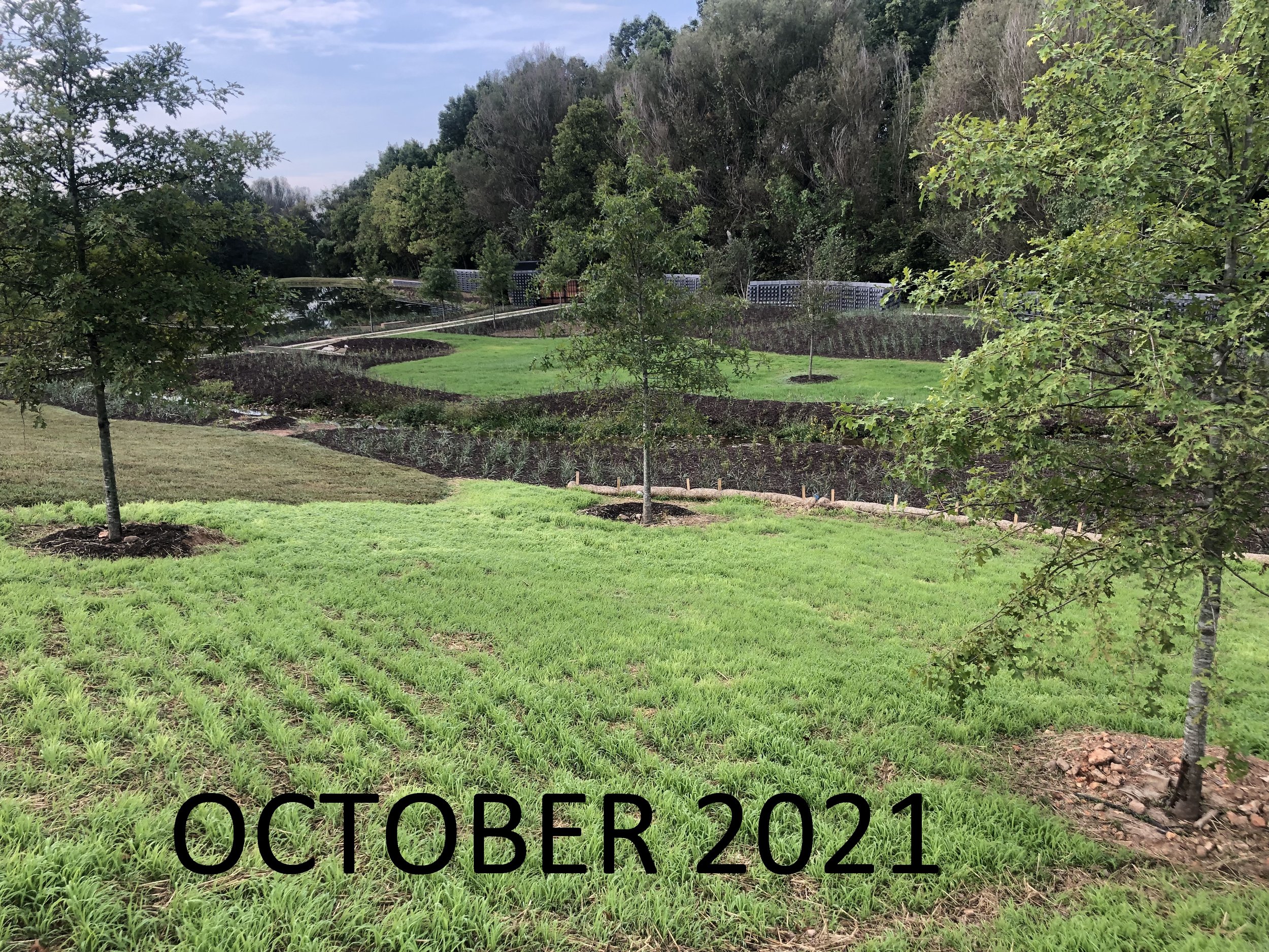 Before-After1 October 2021.jpg