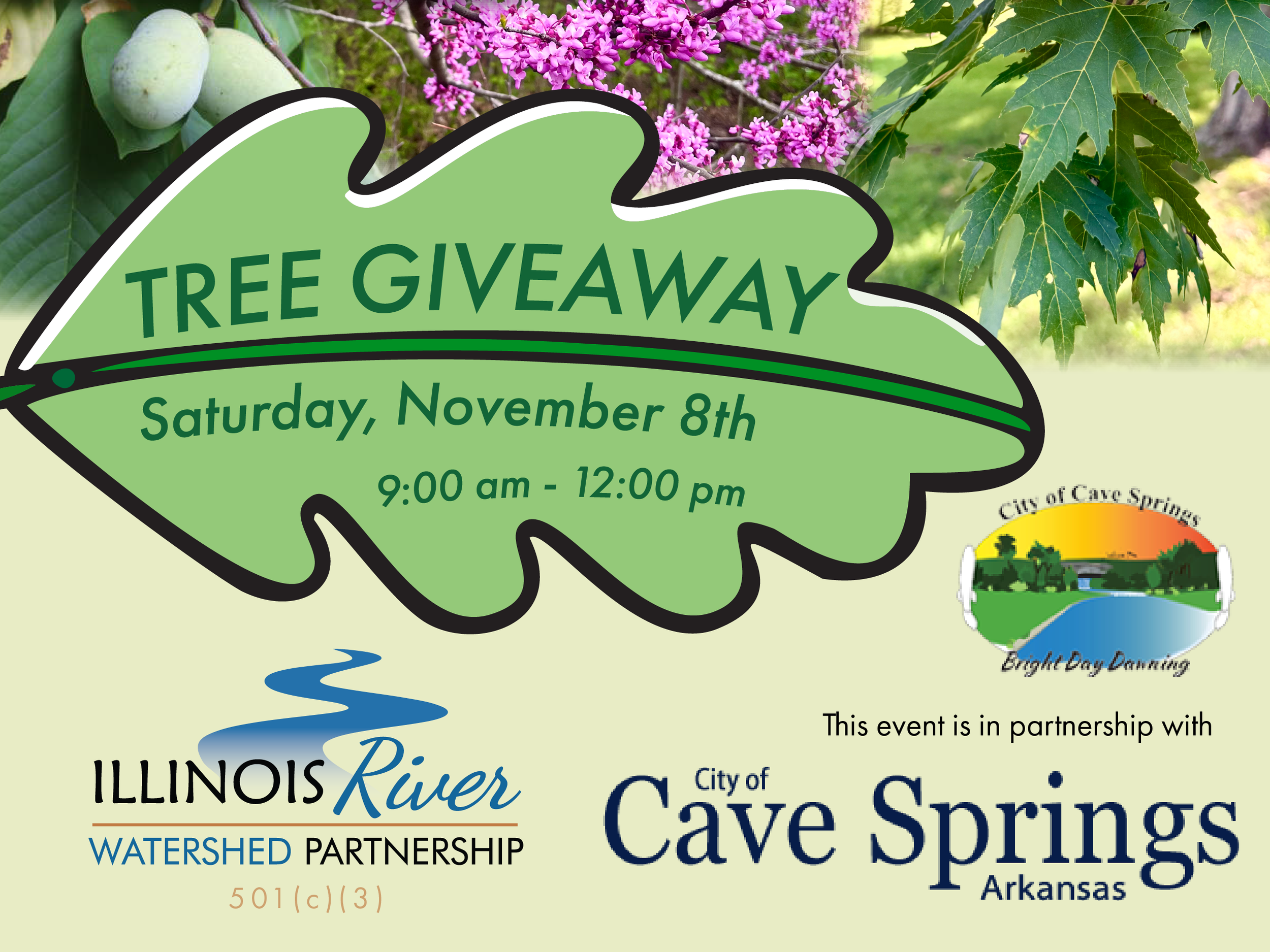 Cave Springs Tree Giveaway