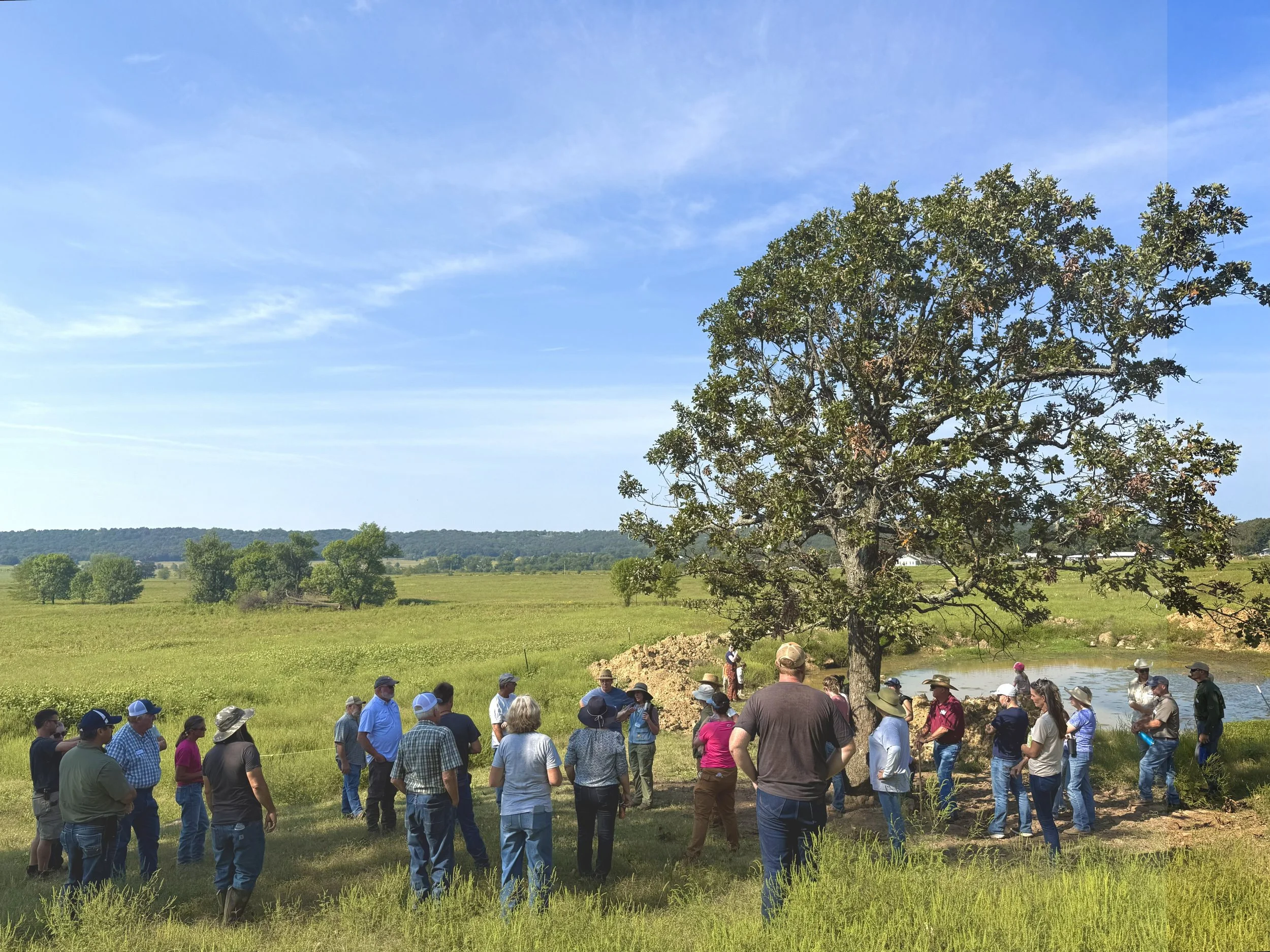 Pastures with Purpose: Wet Prairie