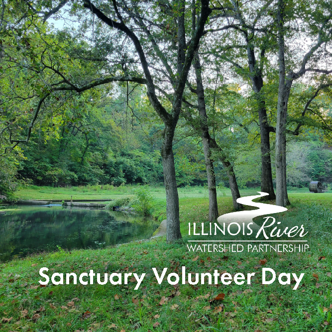 IRWP Sanctuary Volunteer Day