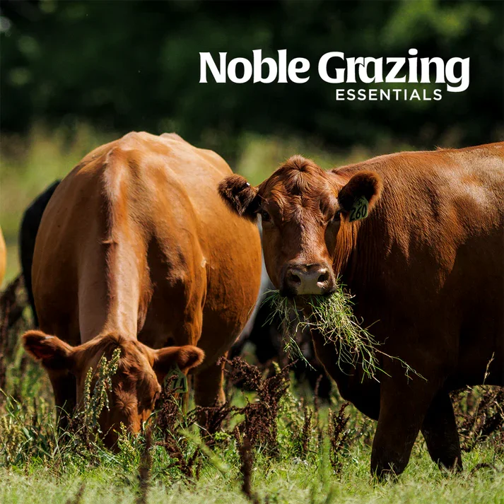 Oklahoma Conservation Commission - Noble Grazing Essentials
